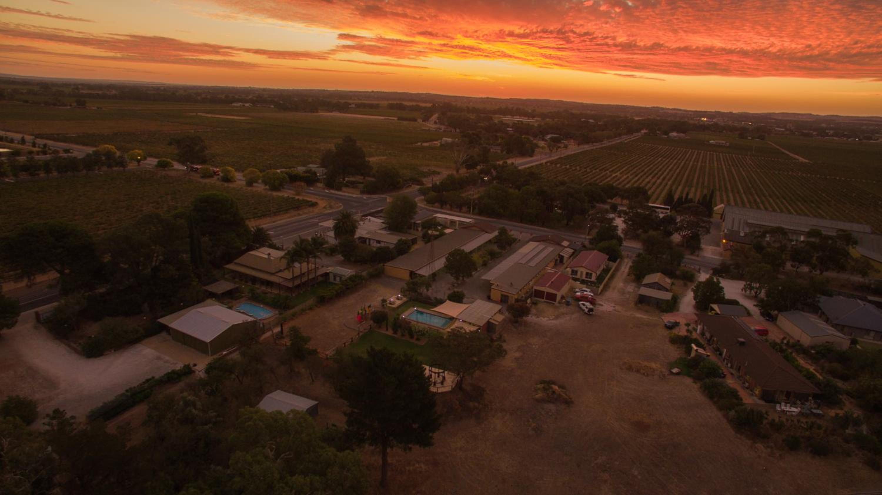 Angaston Vineyards Motel