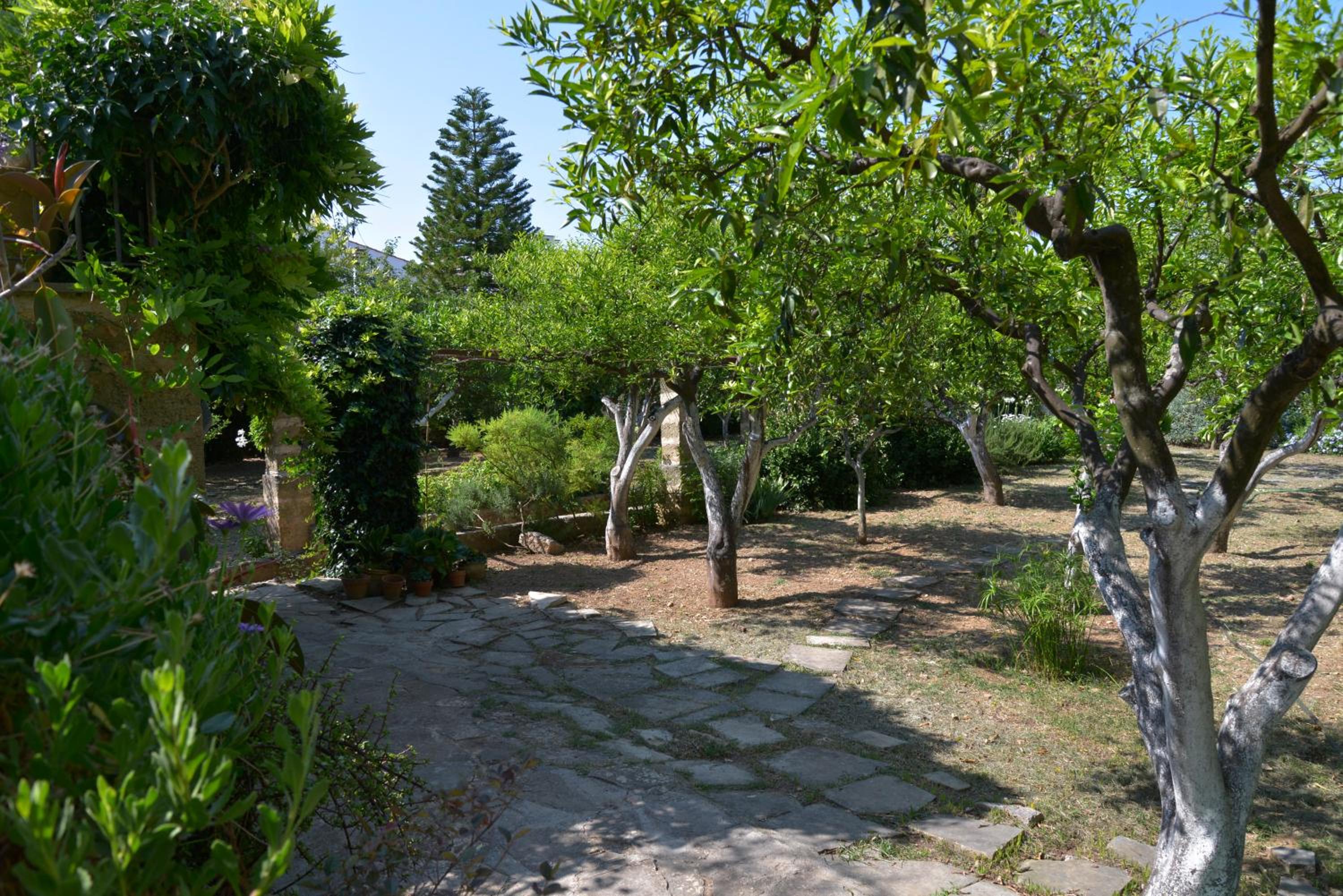 Casale del Forno
