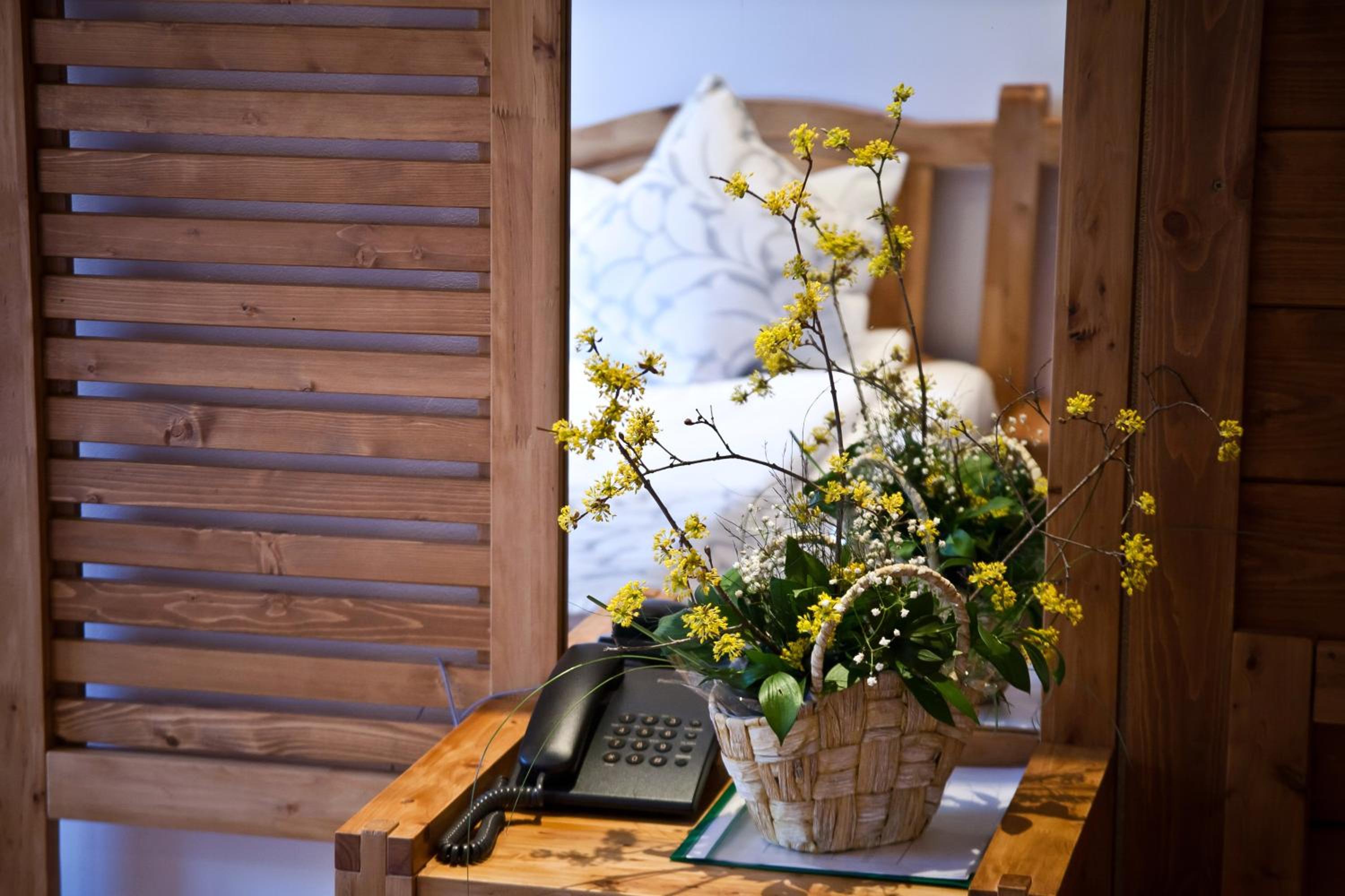 Chalet Balkan