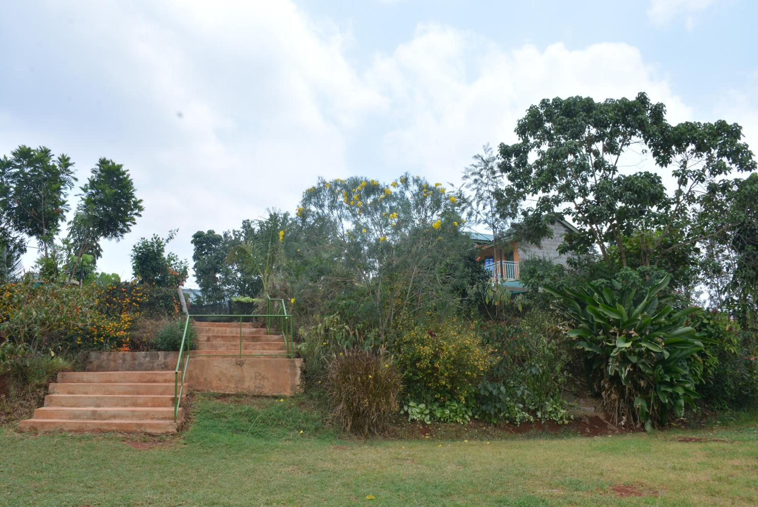 Photo 13