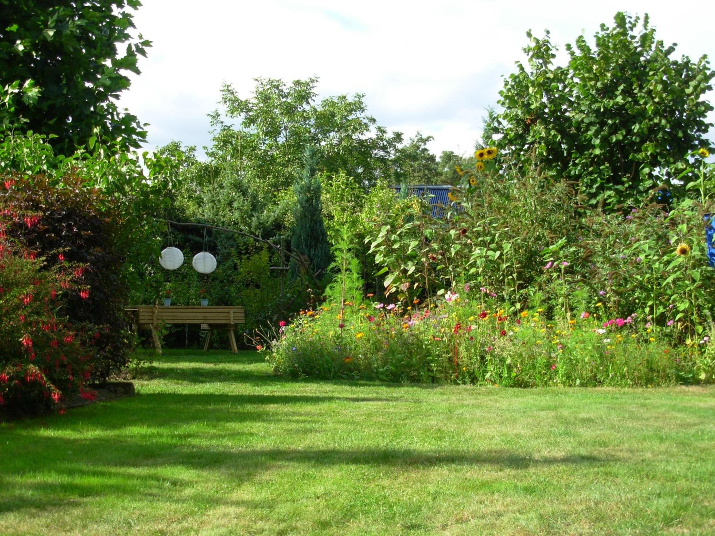 Photo 16