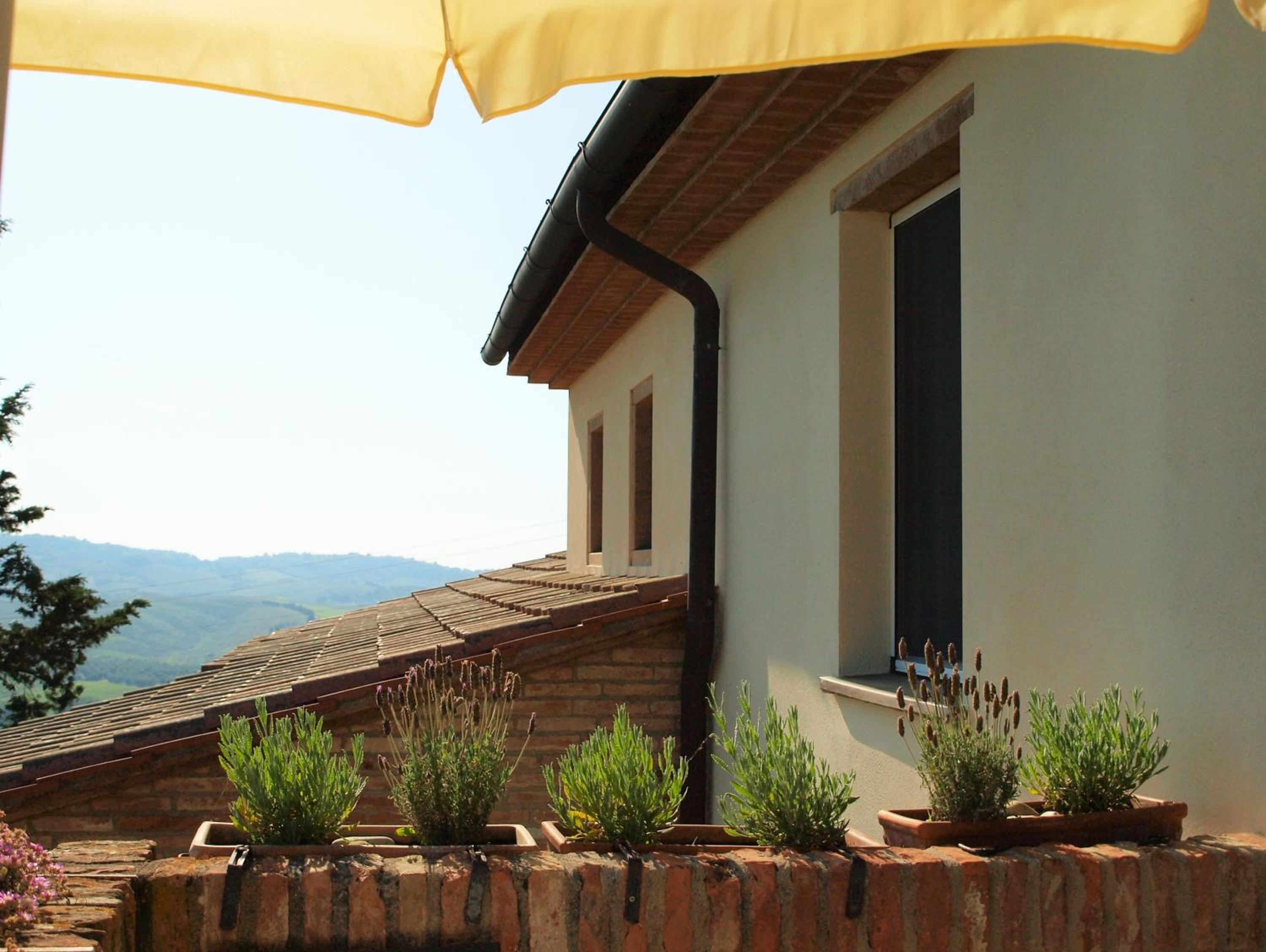 Poggio Magginga view 5