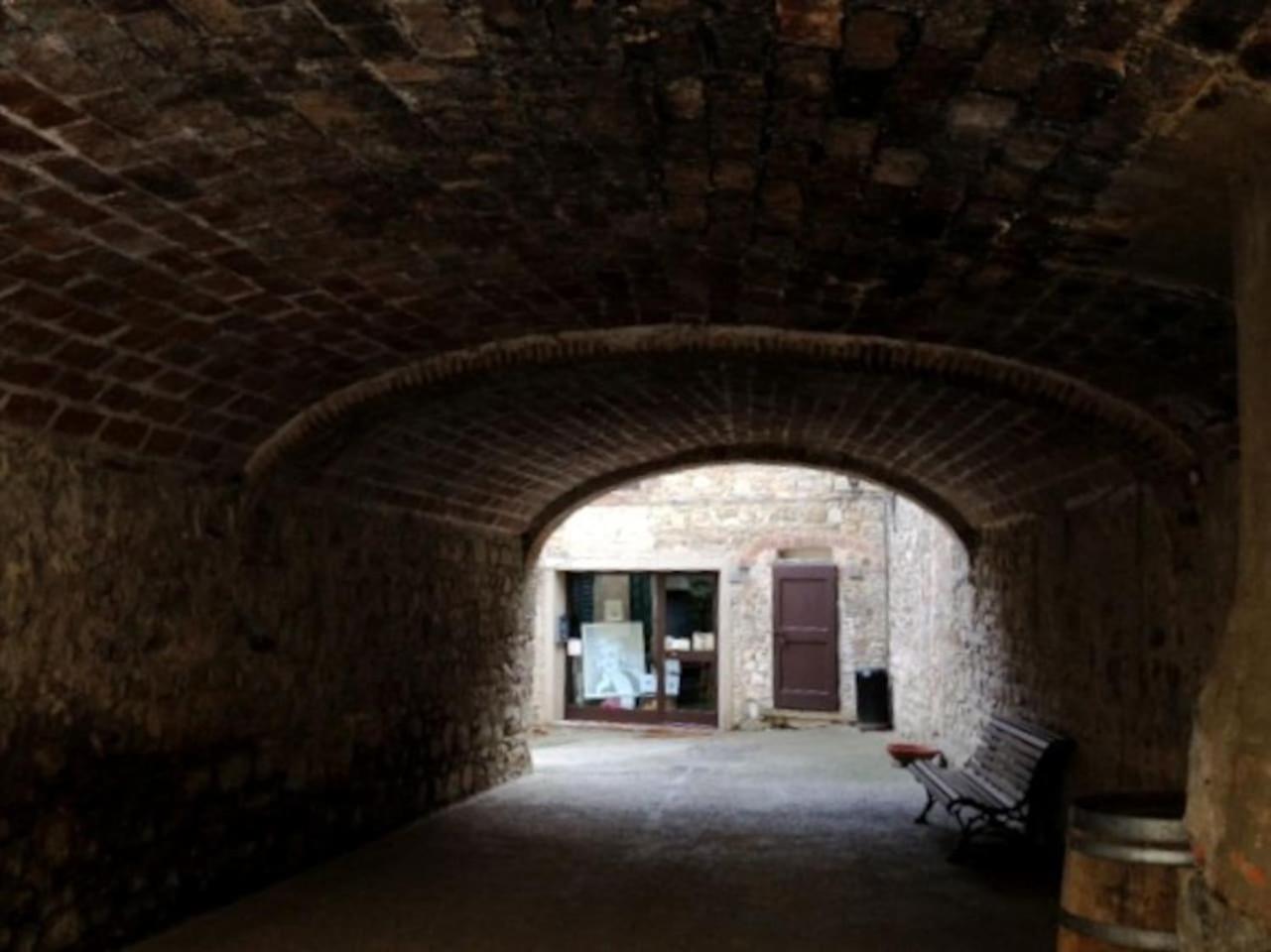 Photo 19