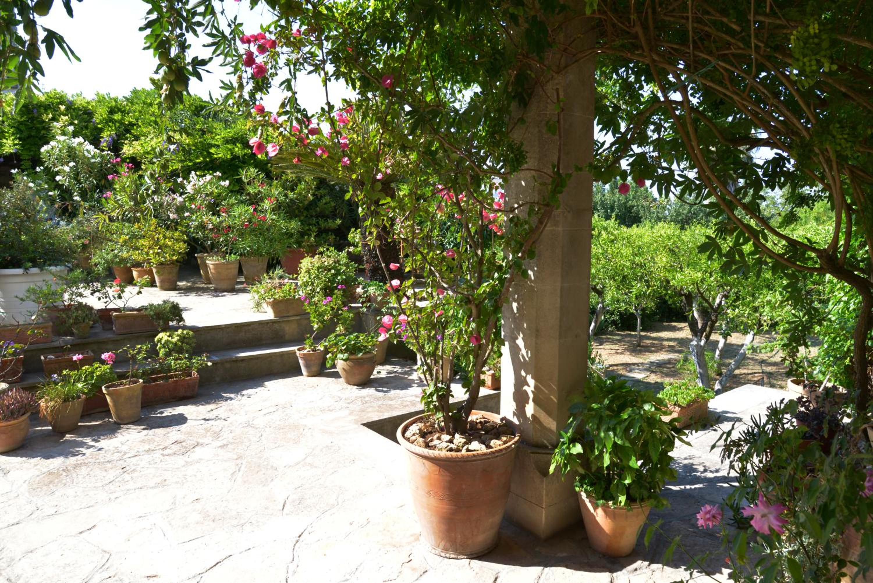 Casale del Forno