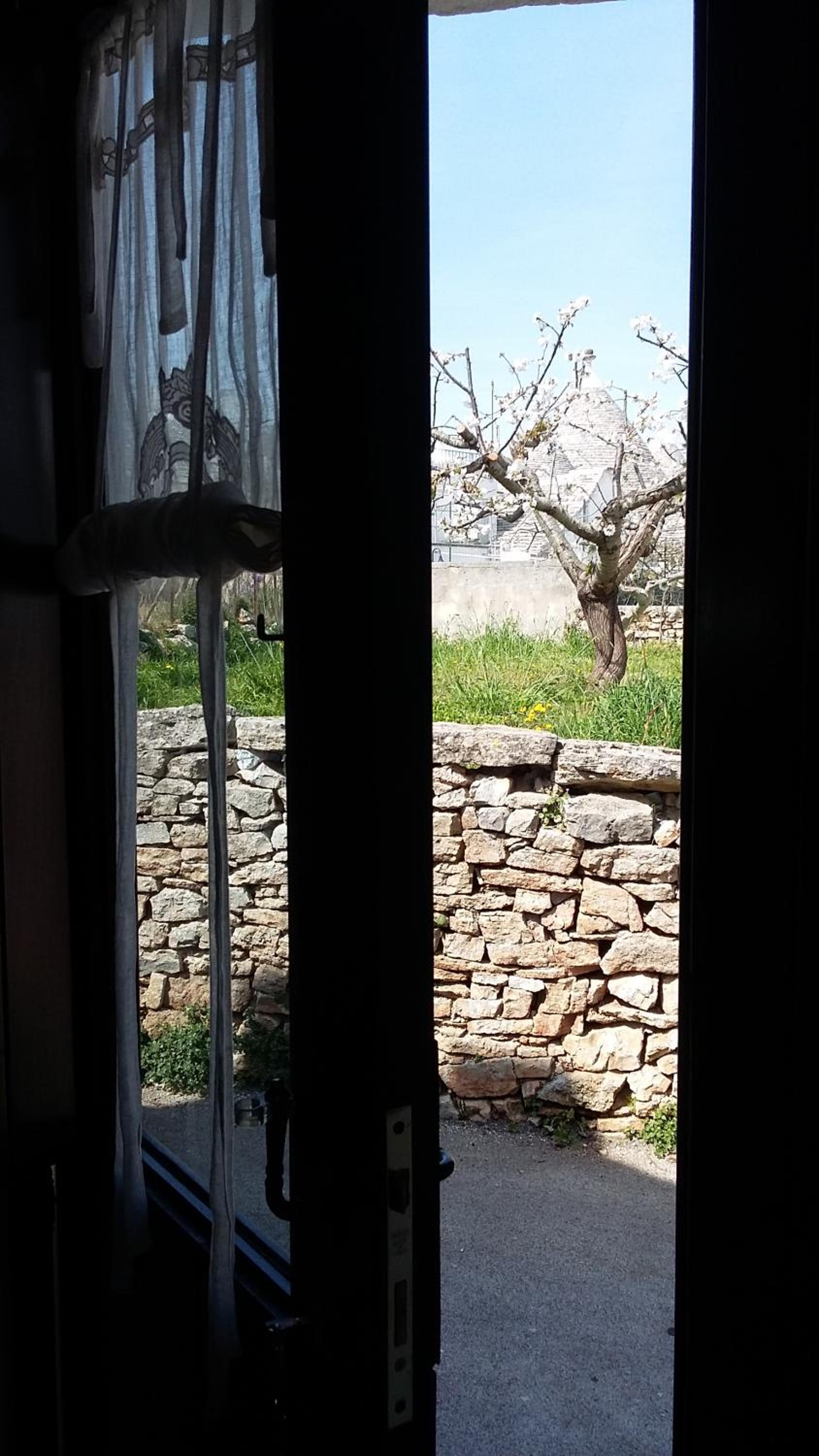 La dimora della Sarta view 3