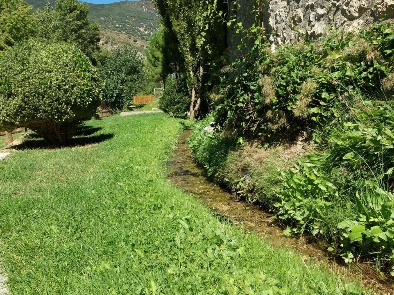 Photo 36
