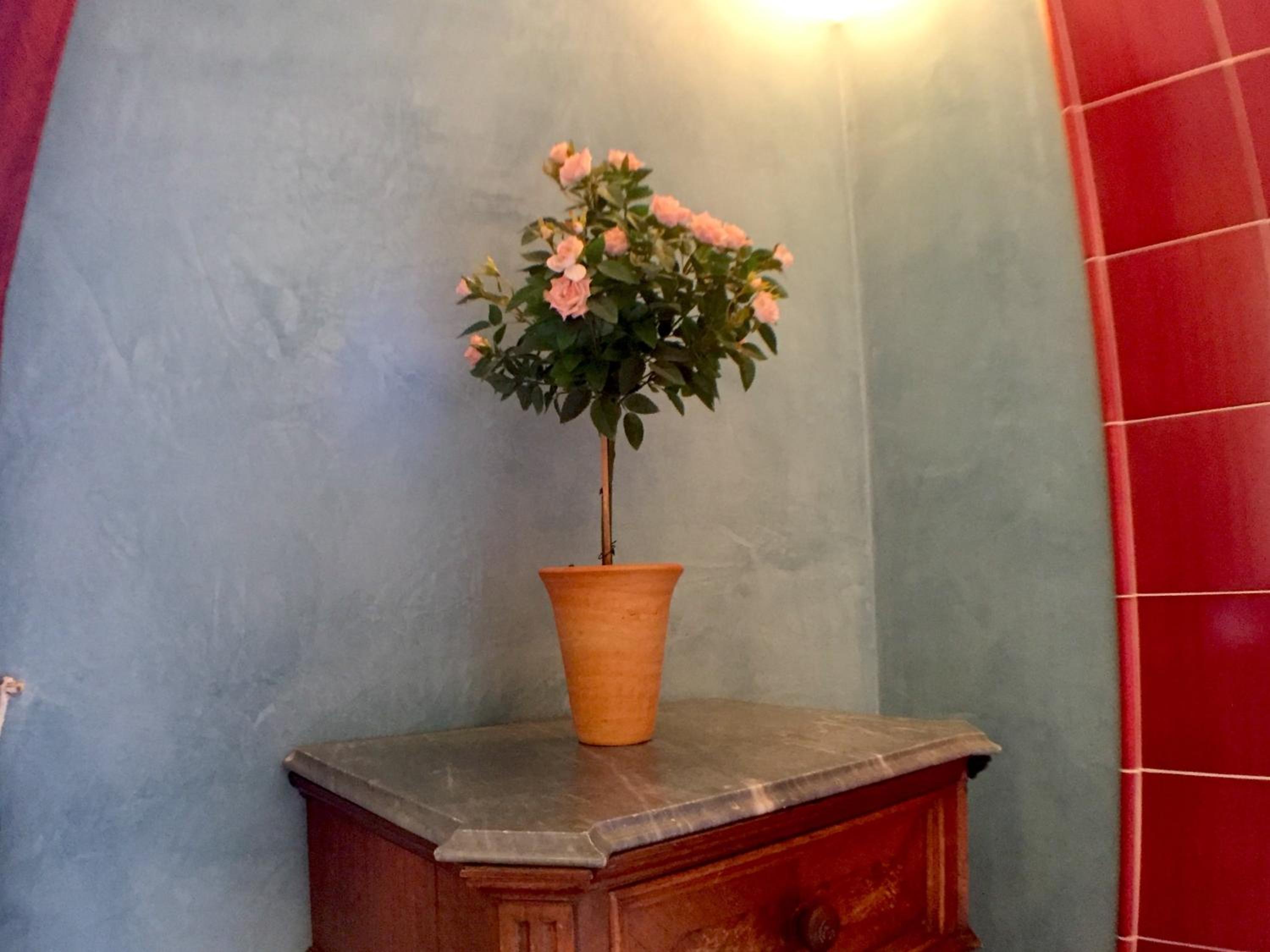 Photo 31