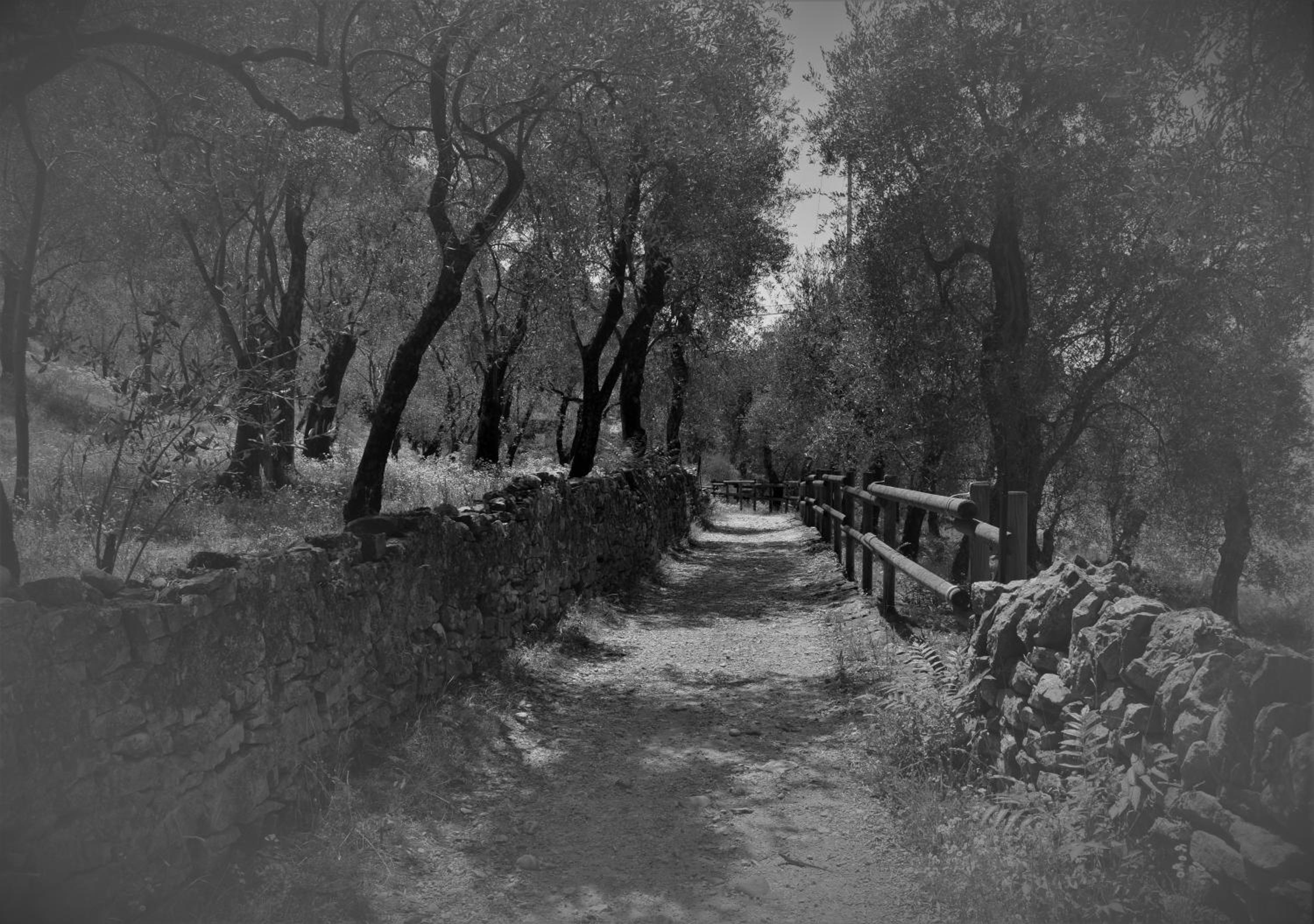 Villa Torre - Atmosfera Romantica