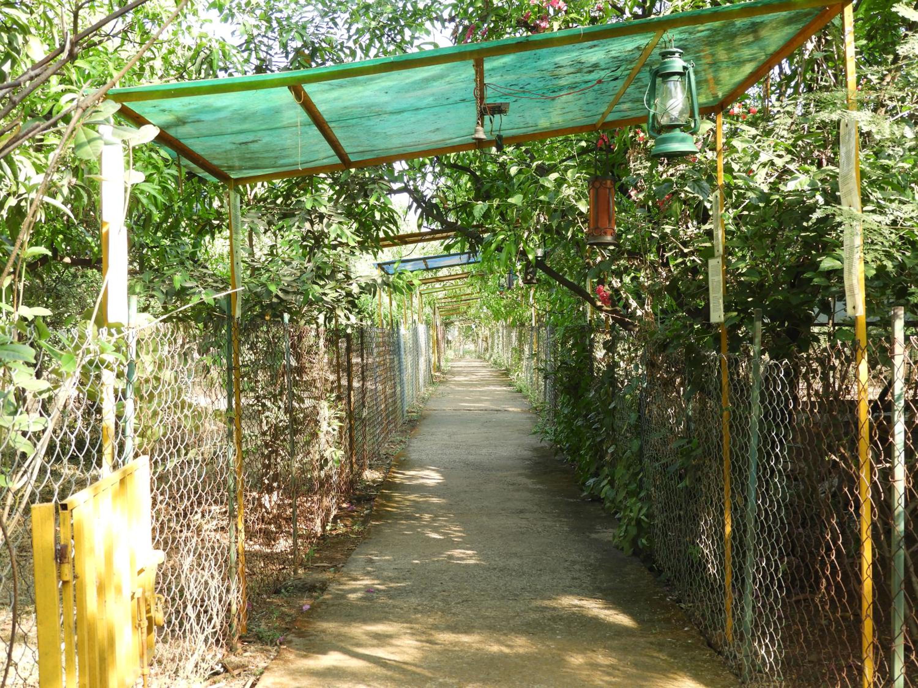 Photo 26