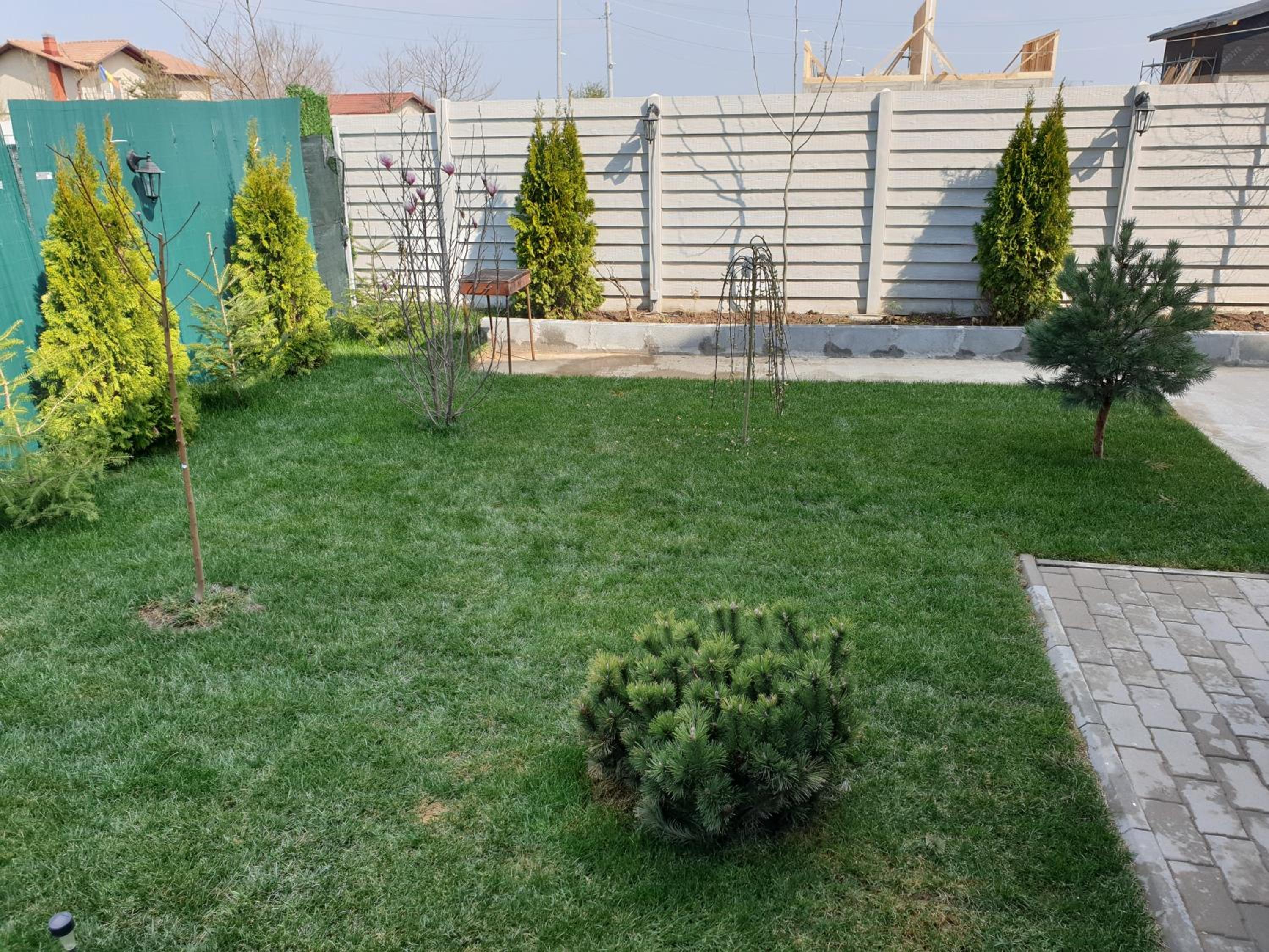 Photo 55