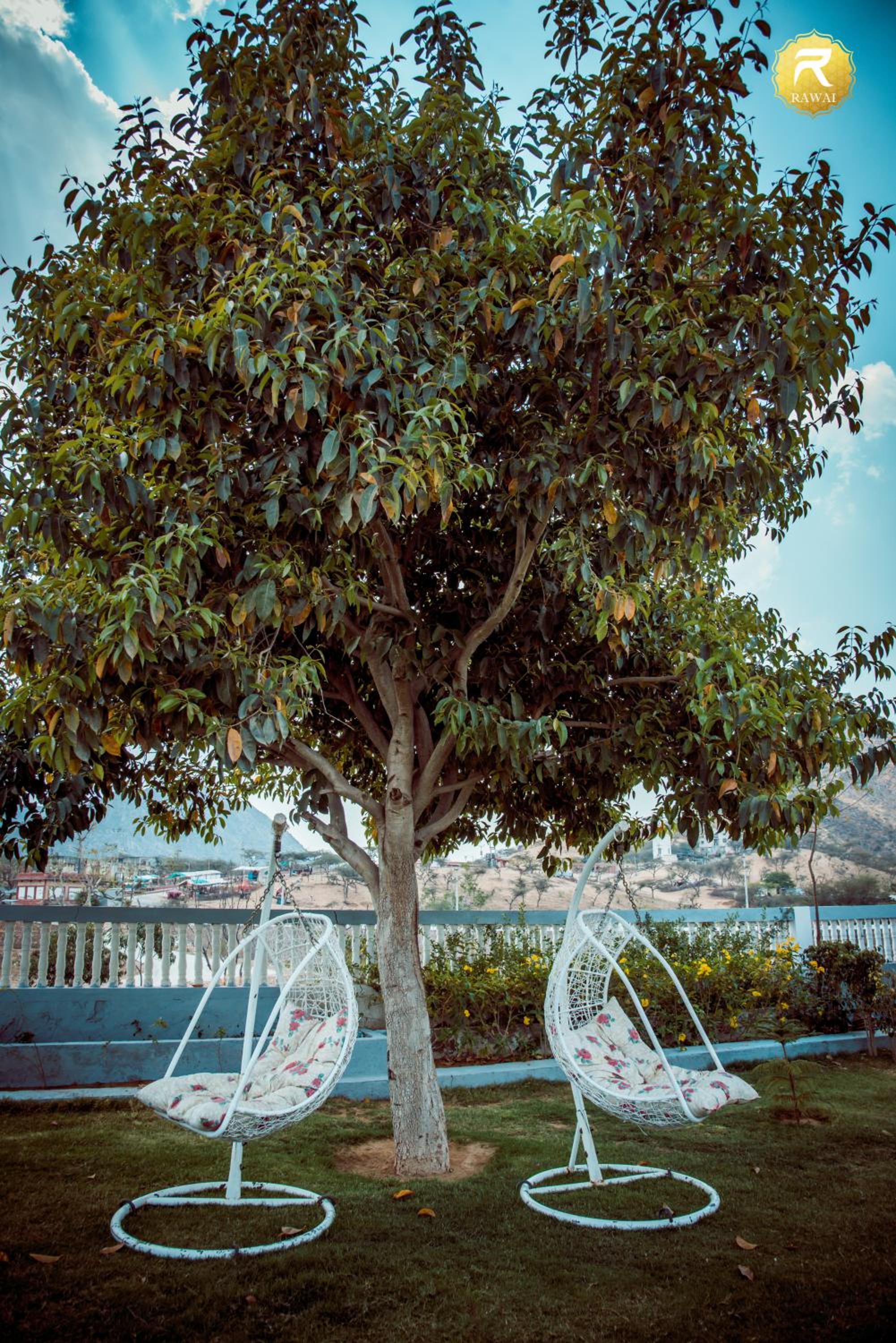 Rawai Luxury Tents Pushkar, photo 12