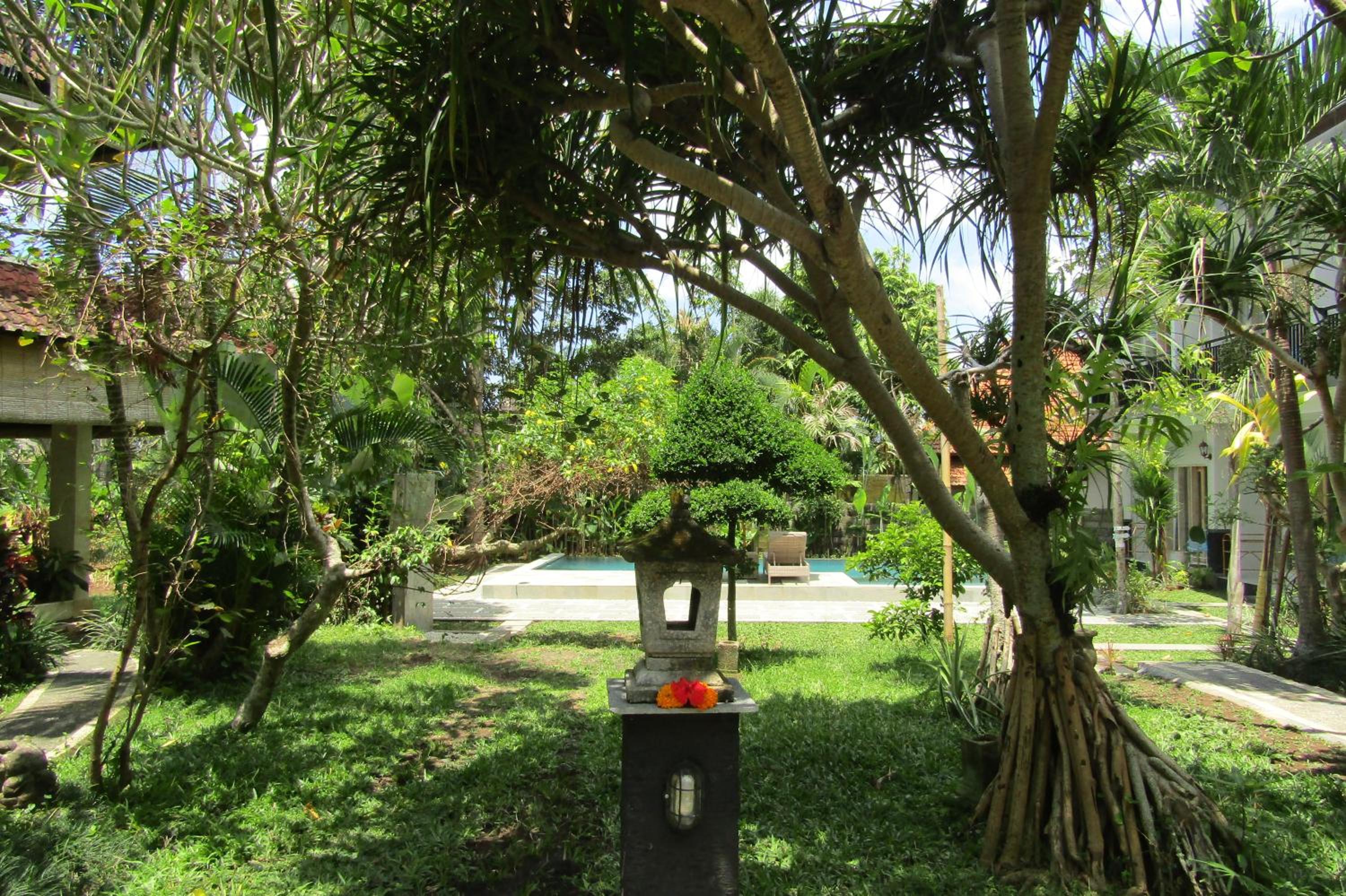 Photo 31