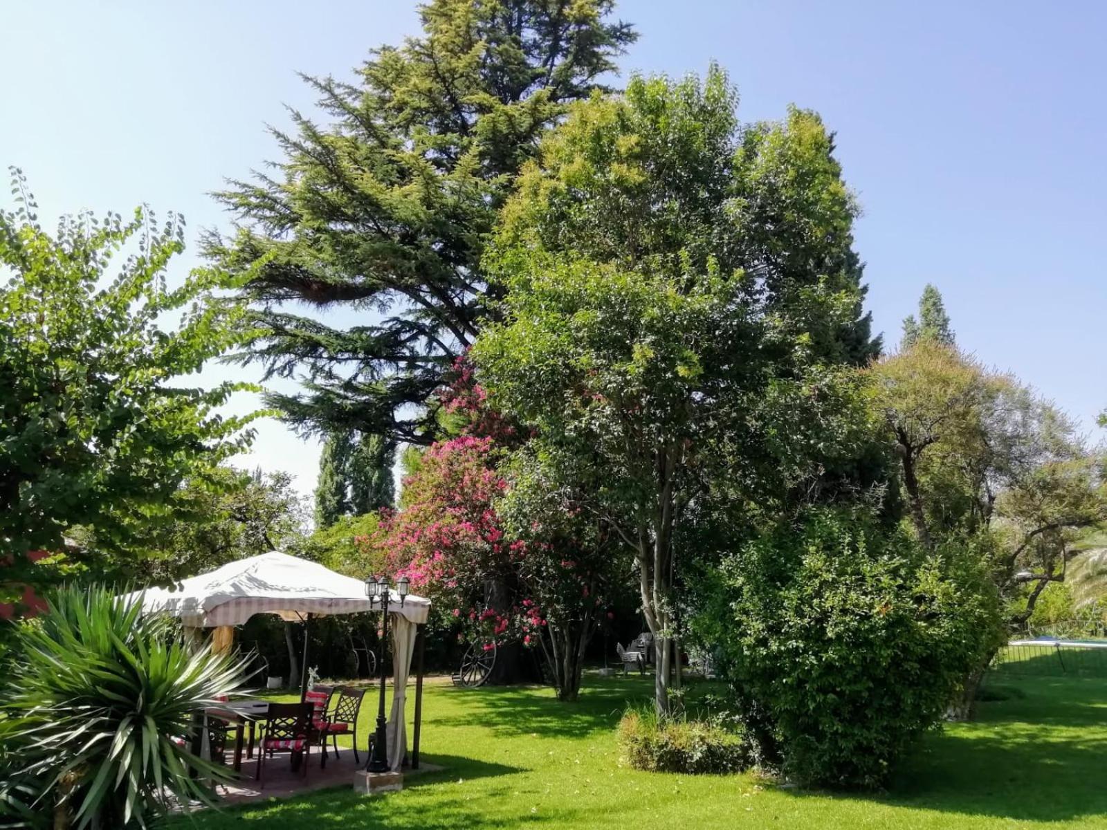 Quinta Ugarte
