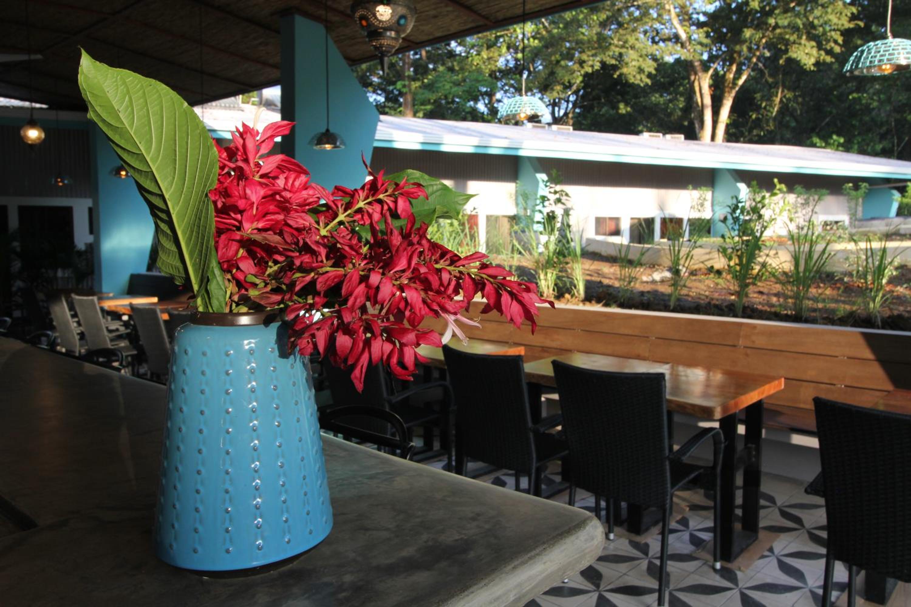 Teva Hotel & Jungle Reserve