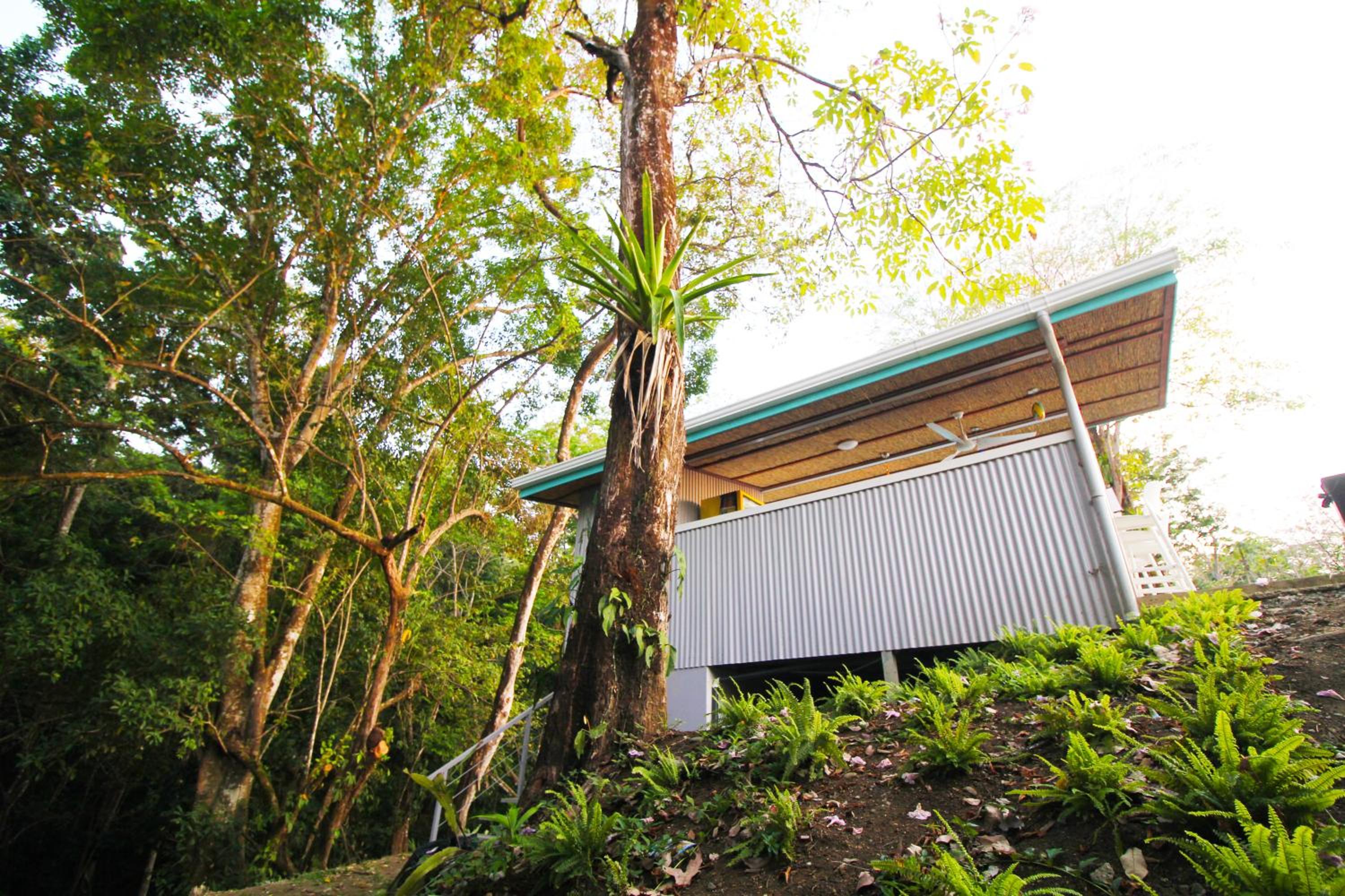 Teva Hotel & Jungle Reserve