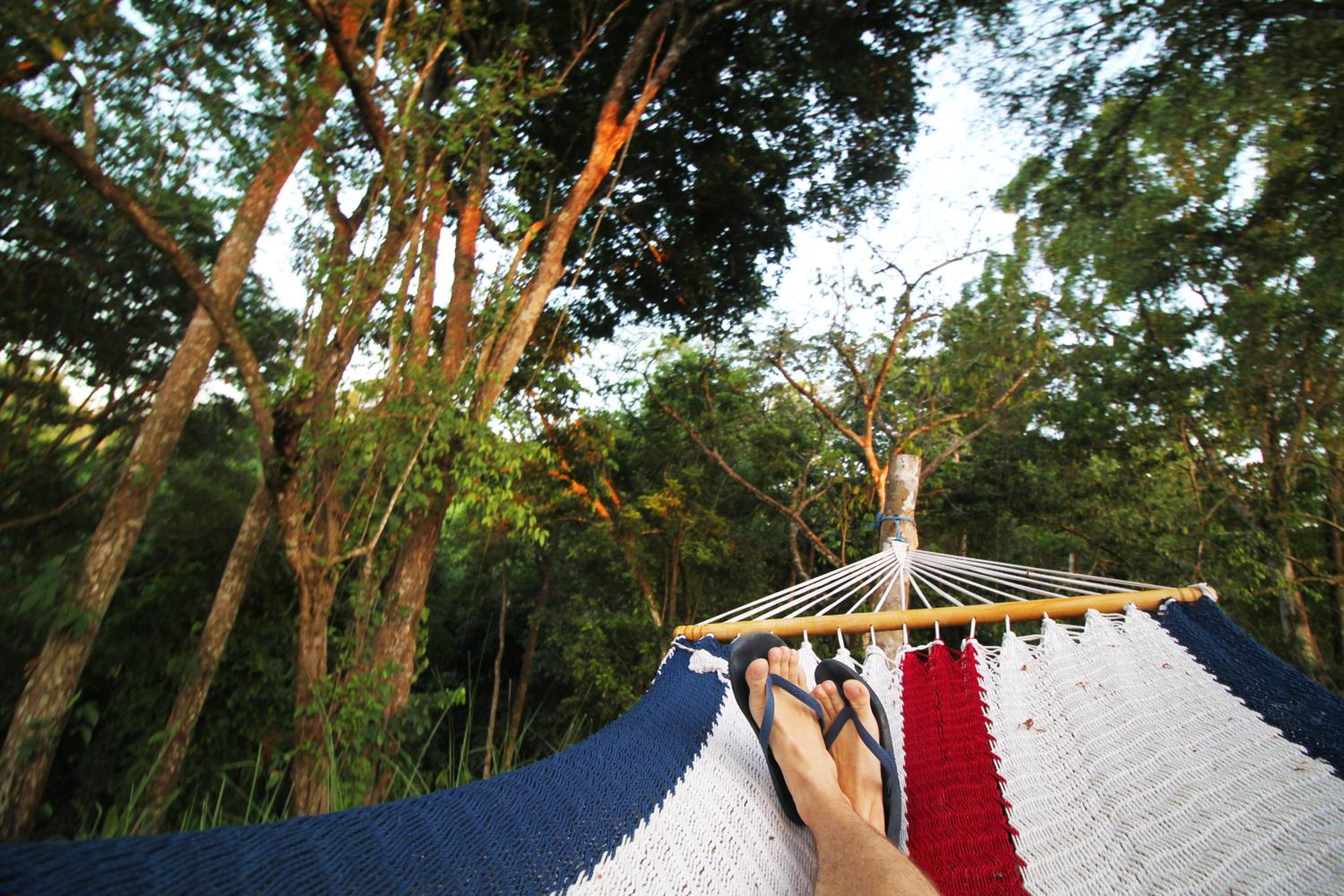 Teva Hotel & Jungle Reserve