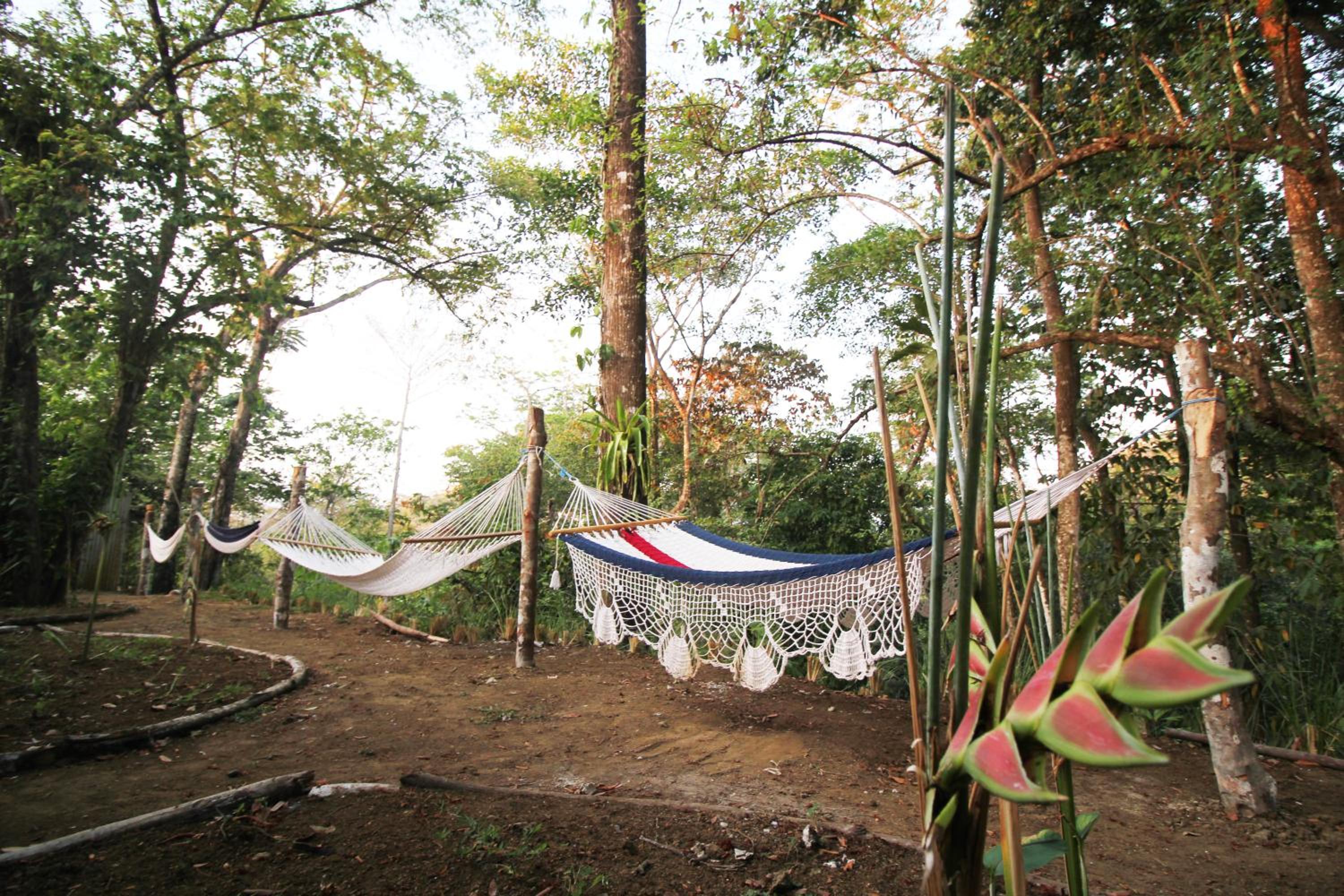Teva Hotel & Jungle Reserve