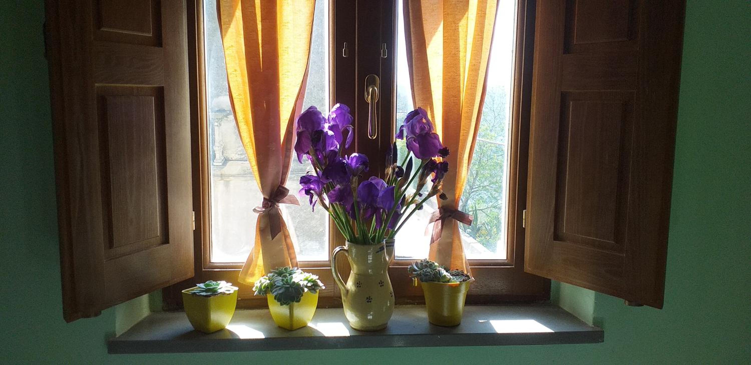 Le Terrazze Sul Pollino B&B