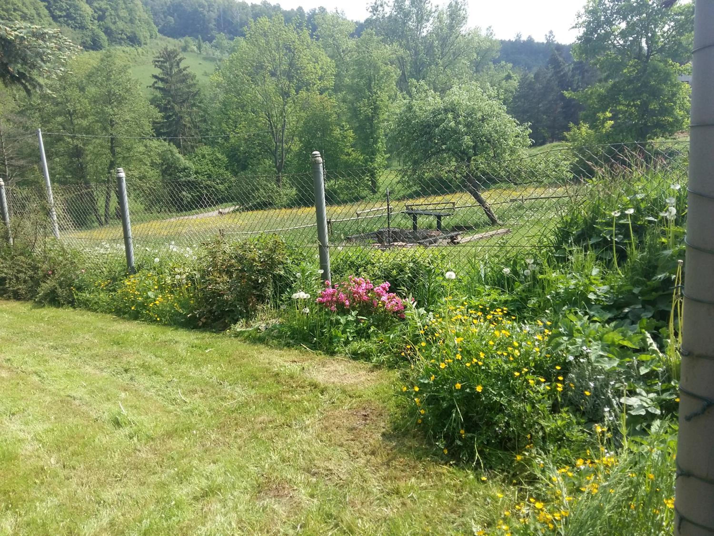 Photo 32