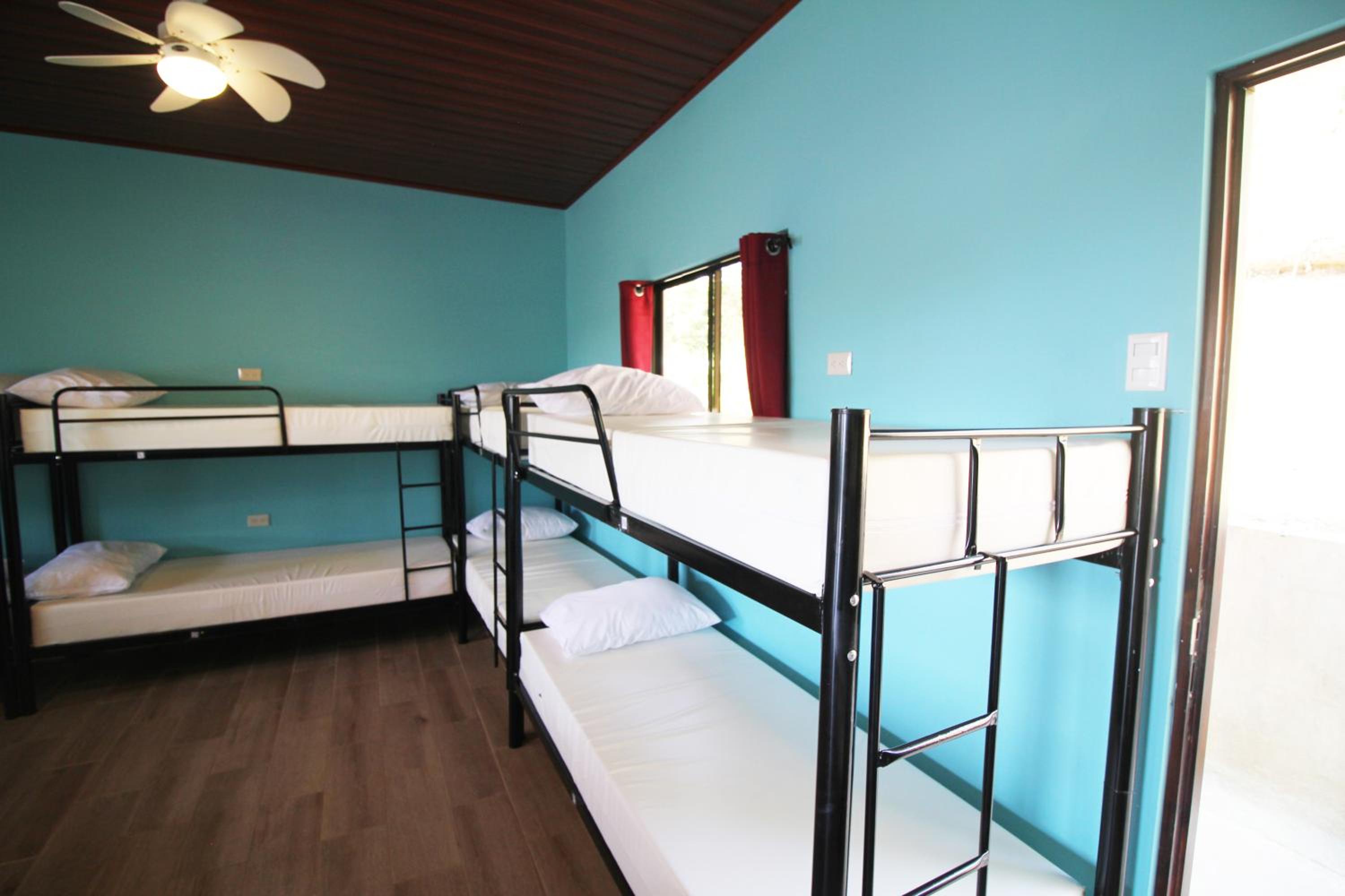 Teva Hotel & Jungle Reserve