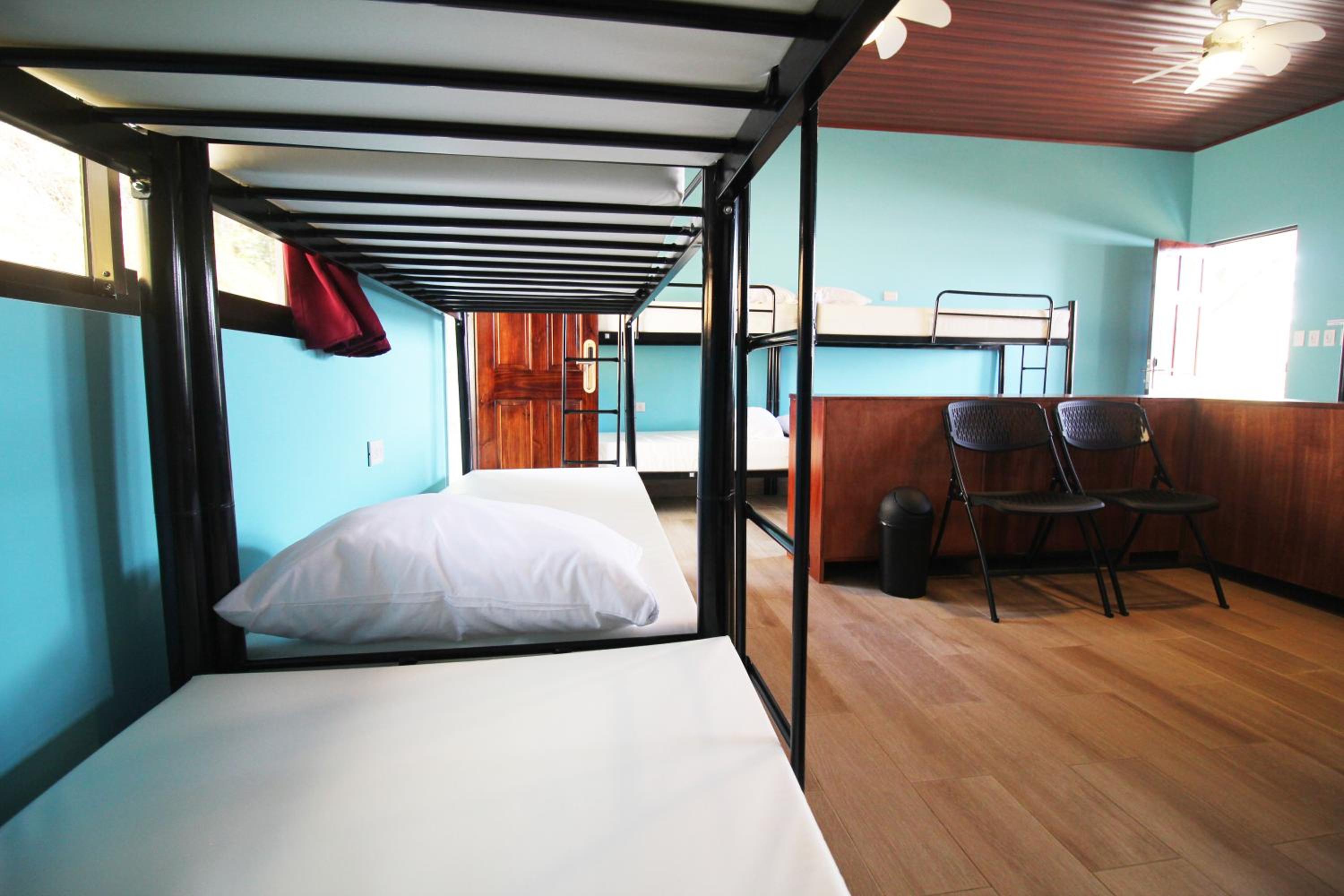Teva Hotel & Jungle Reserve