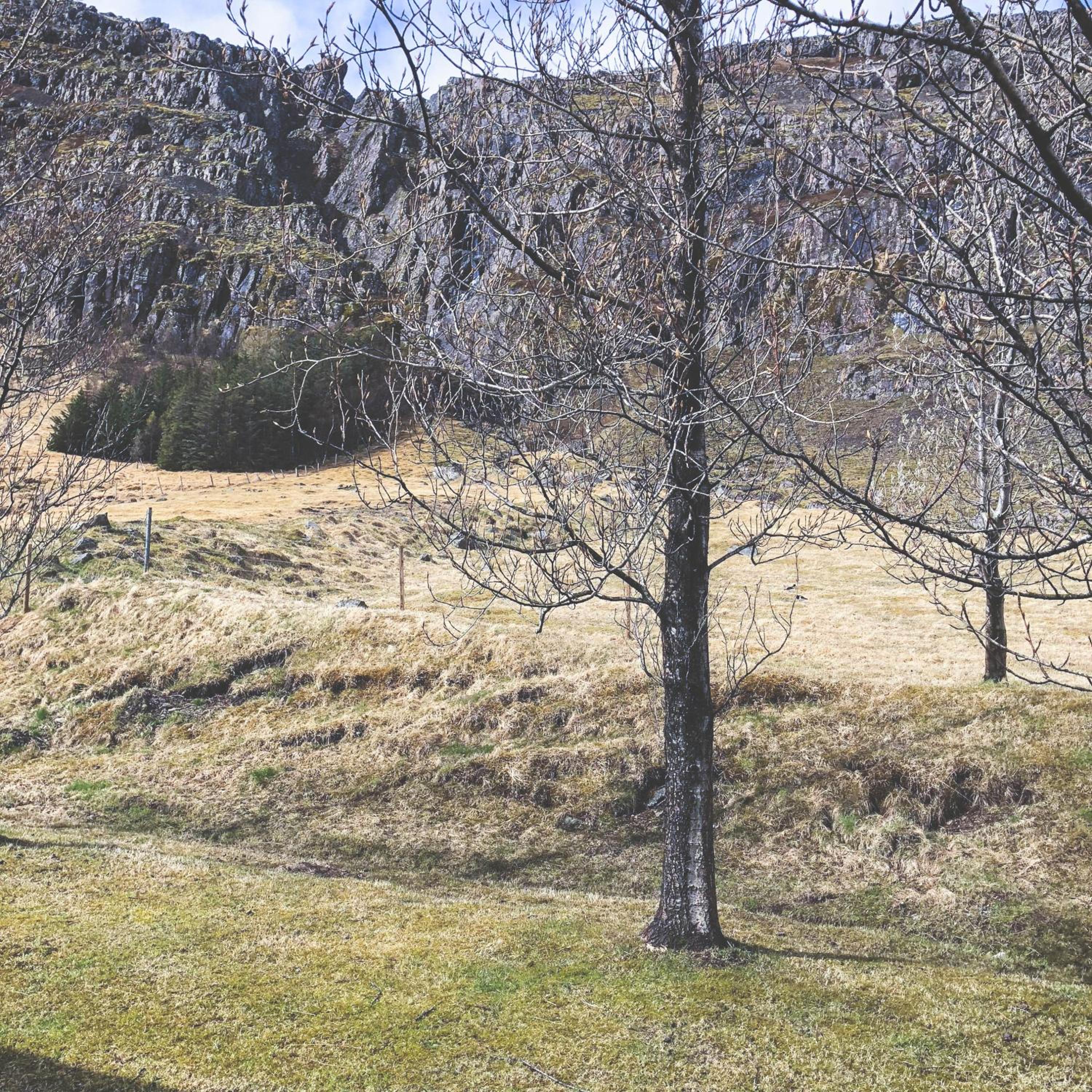 Guesthouse Skálafell