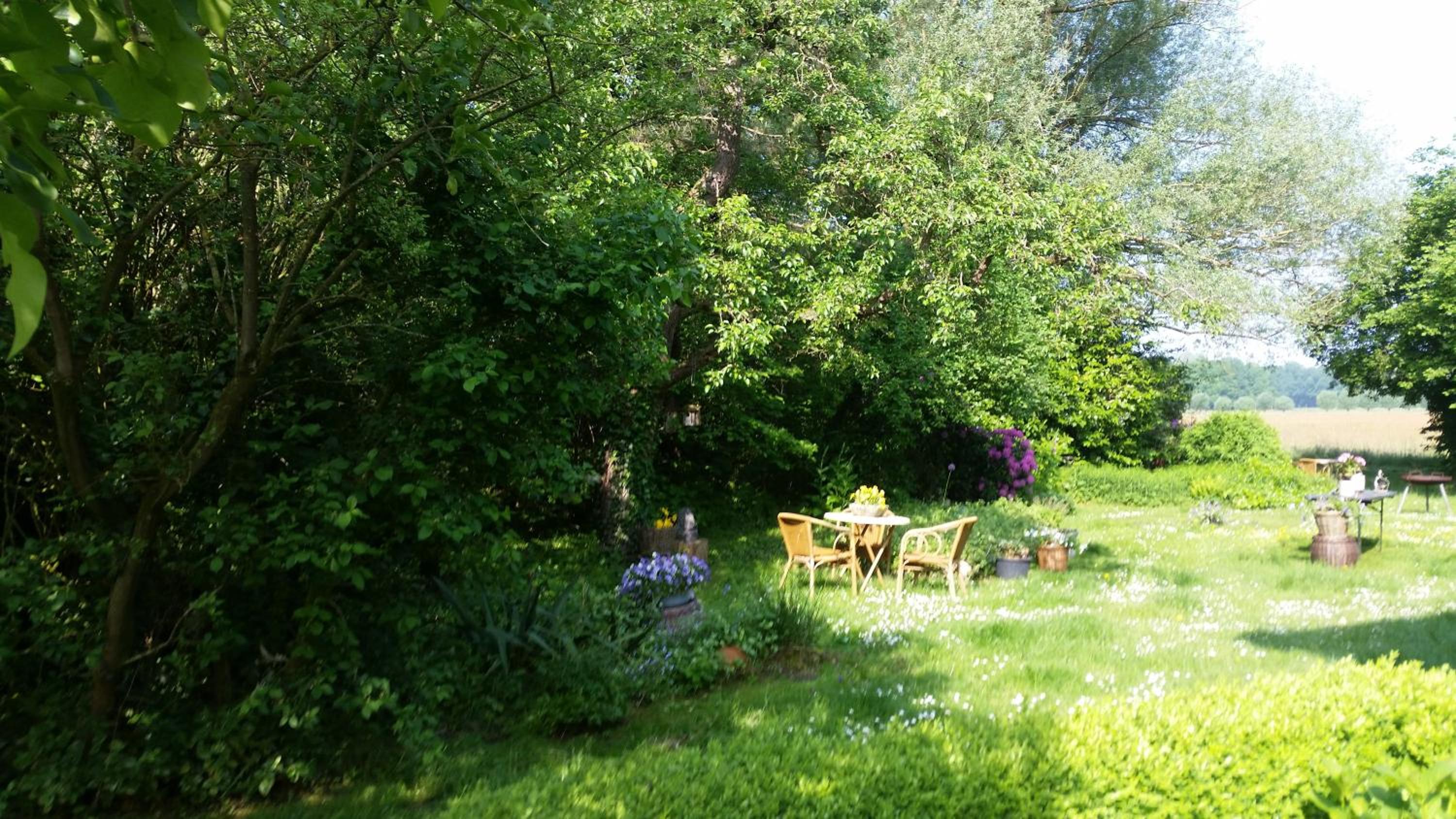 Photo 26