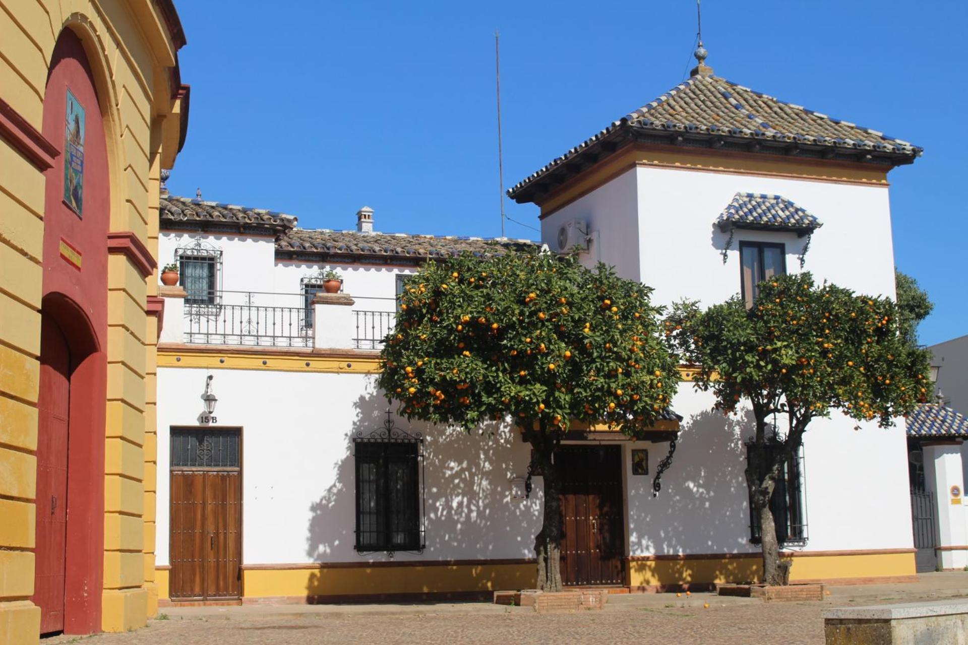 Apartamento Plaza de Toros view 2