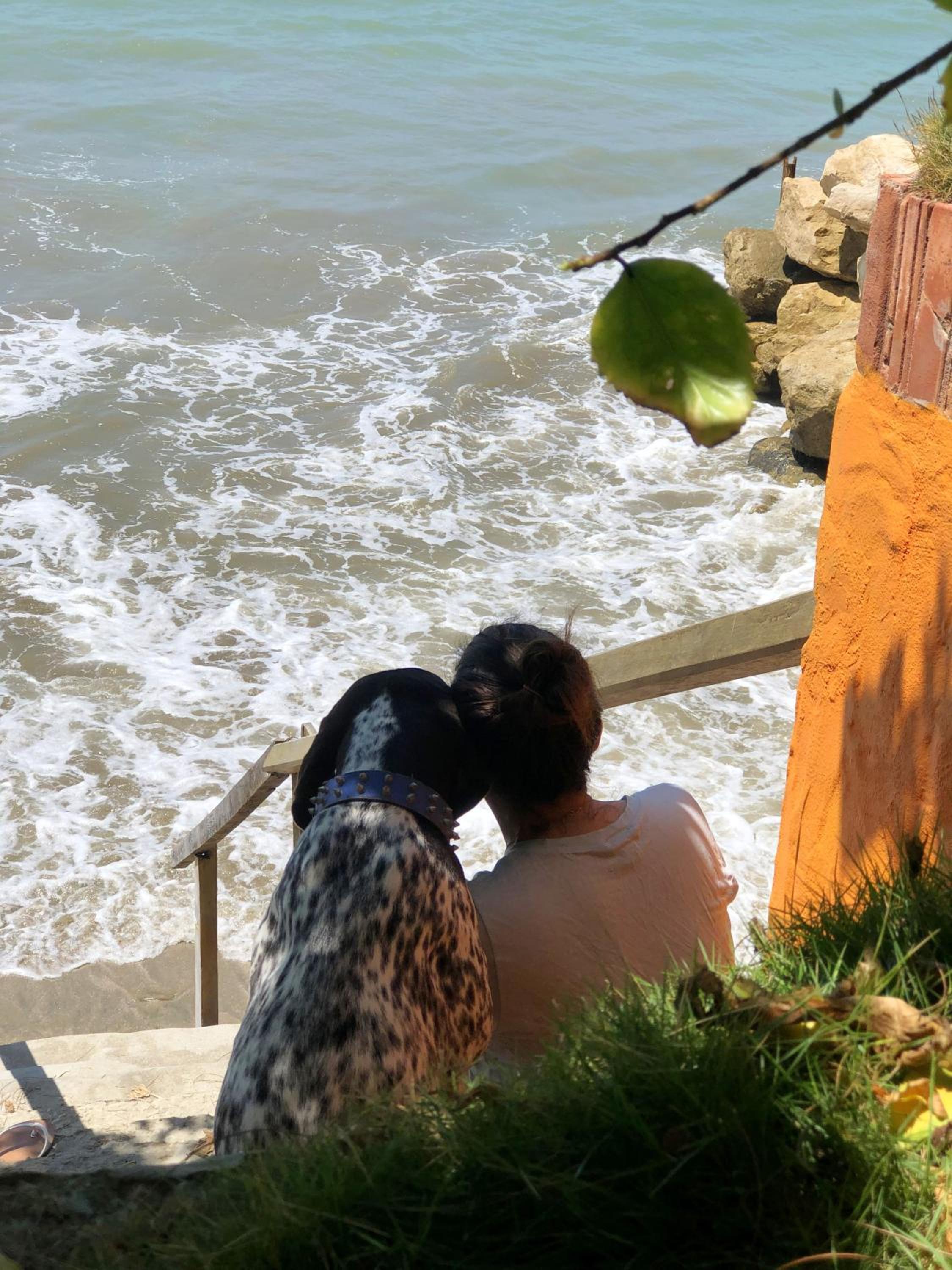 Hostería Ecológica El Faro, photo 47