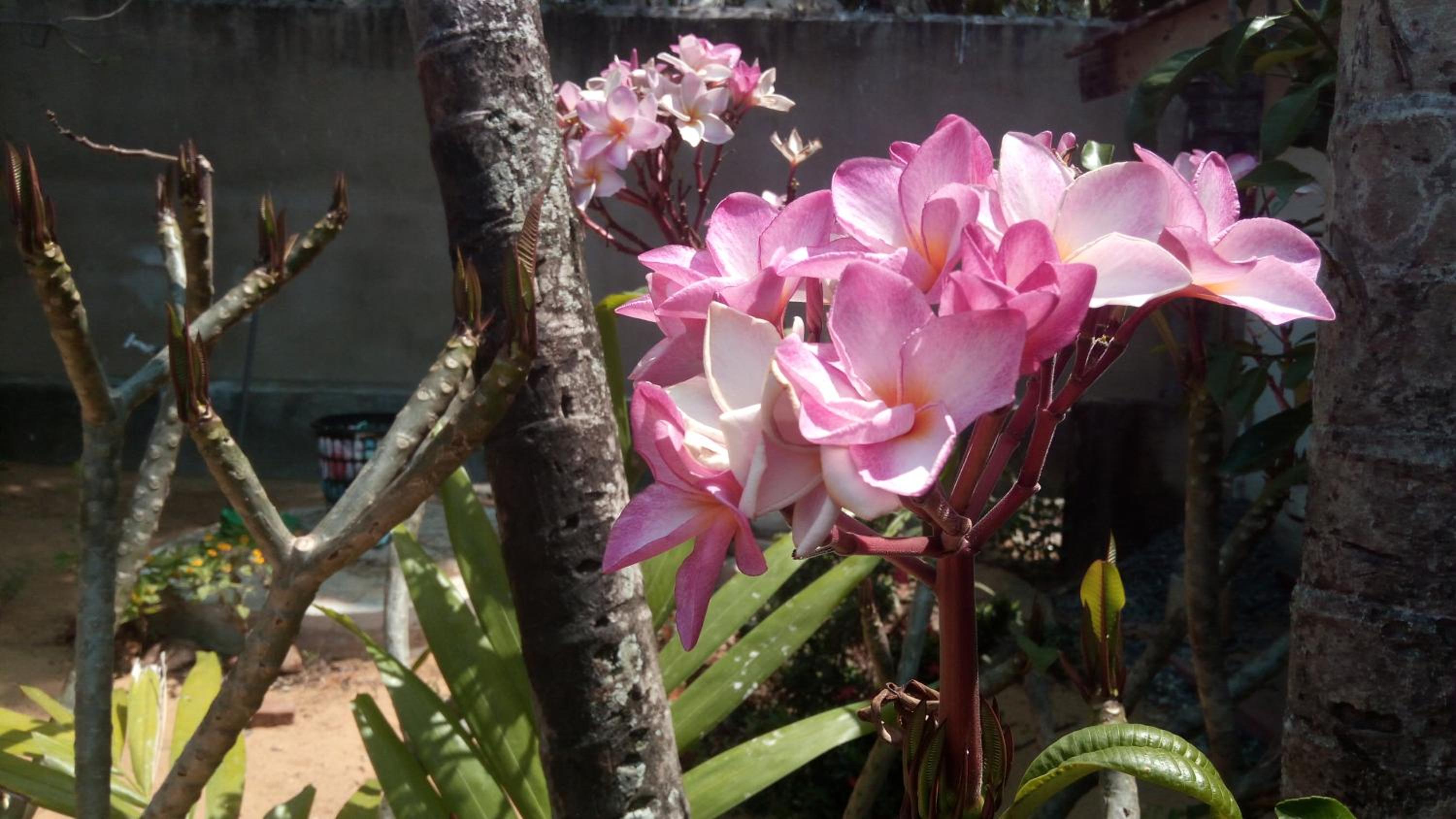 Sampathaa Residence view 2