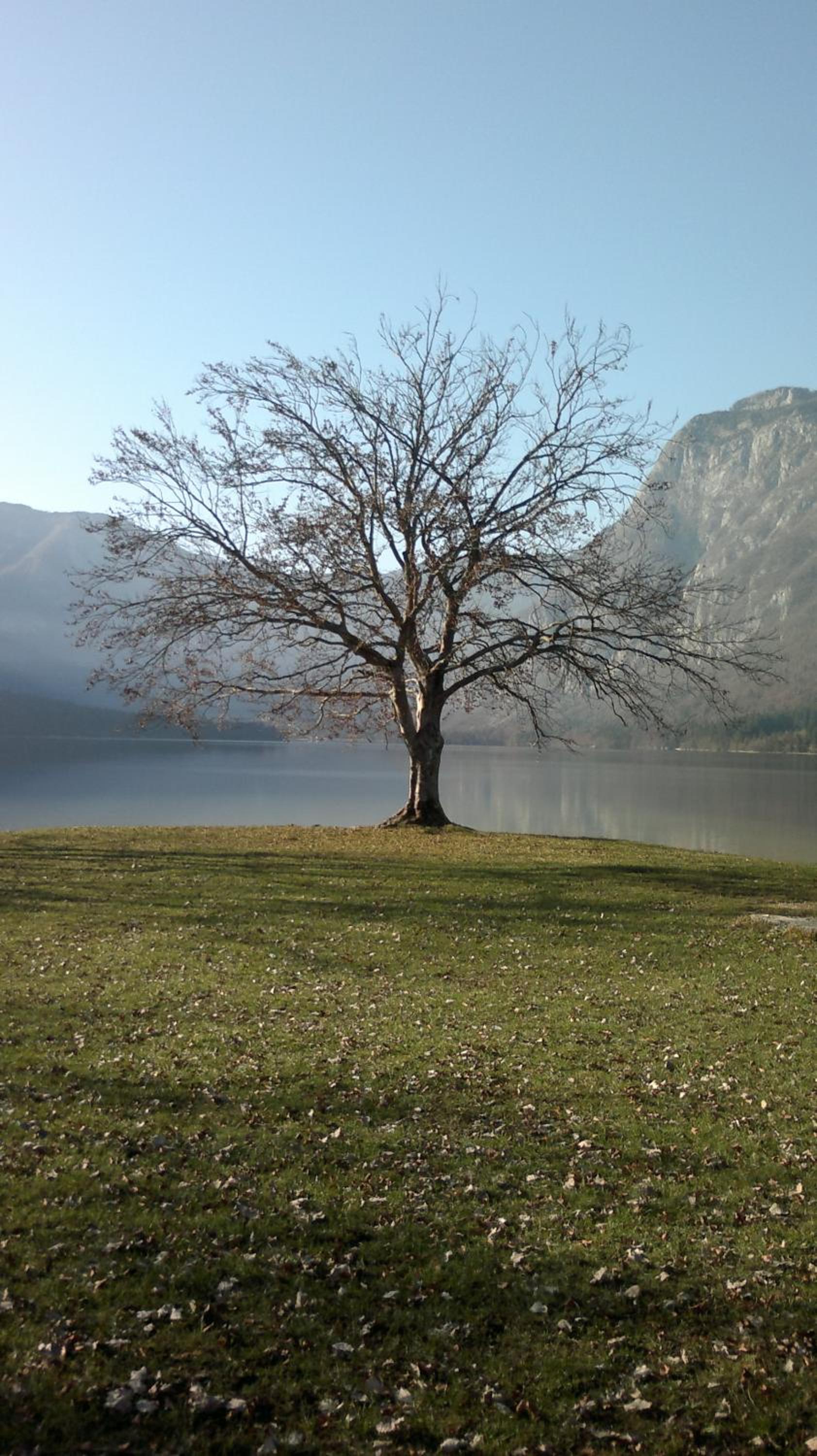 APARTMA KOŠNIK