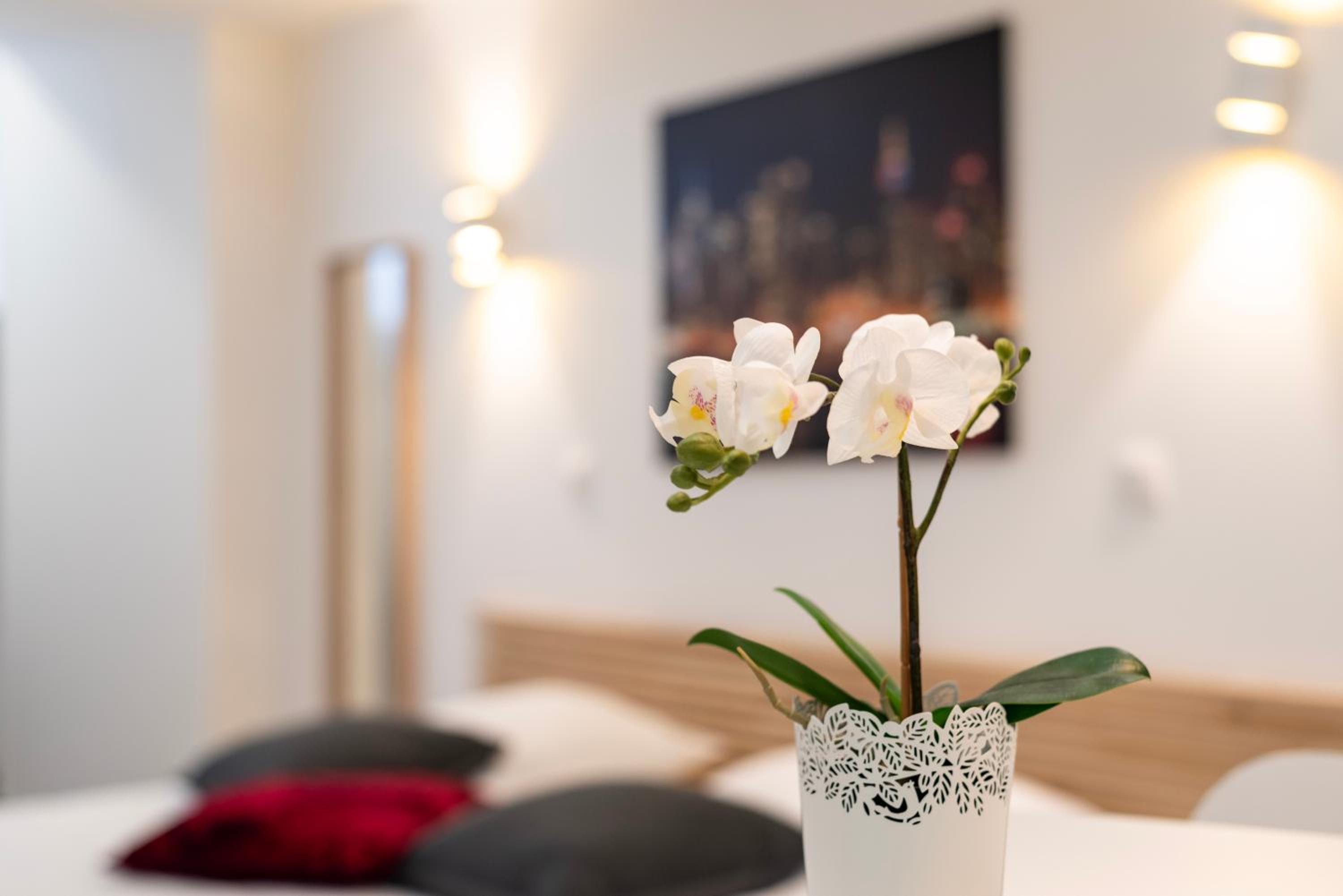CityCosy Strasbourg - Studio Hirtz Orangerie view 2