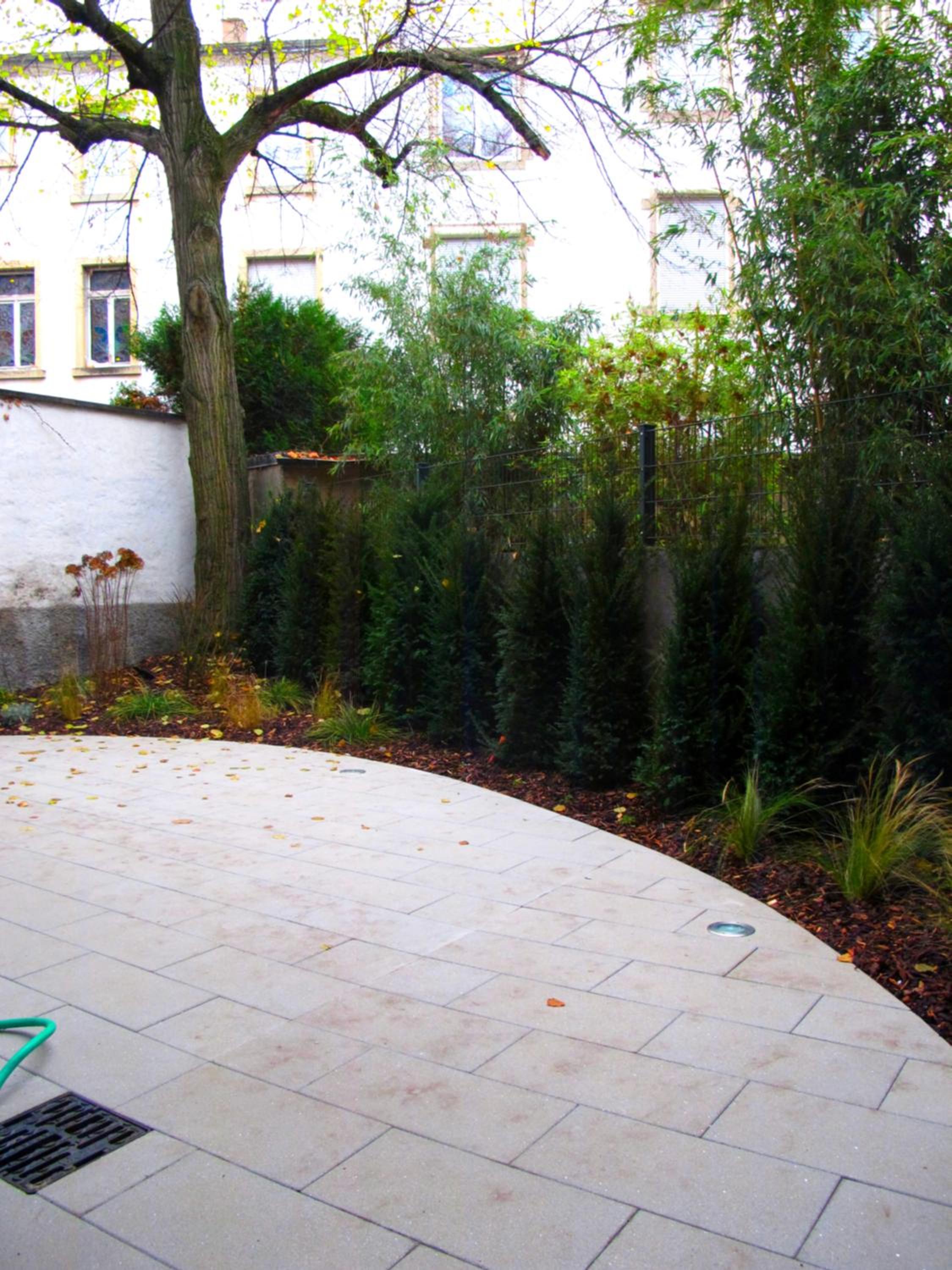 CityCosy Strasbourg - Studio Hirtz Orangerie, photo 4