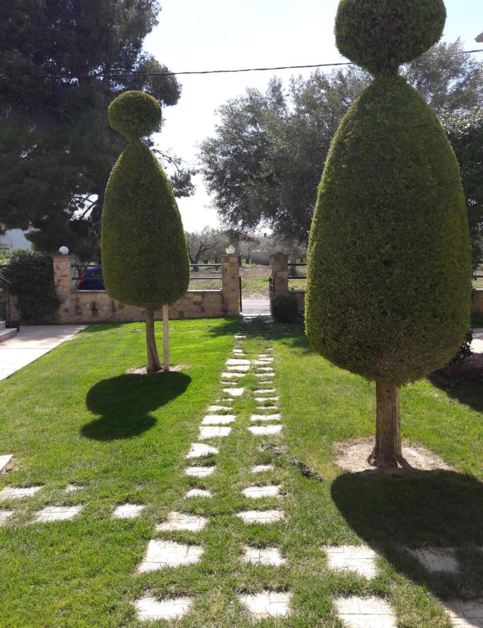 Photo 42