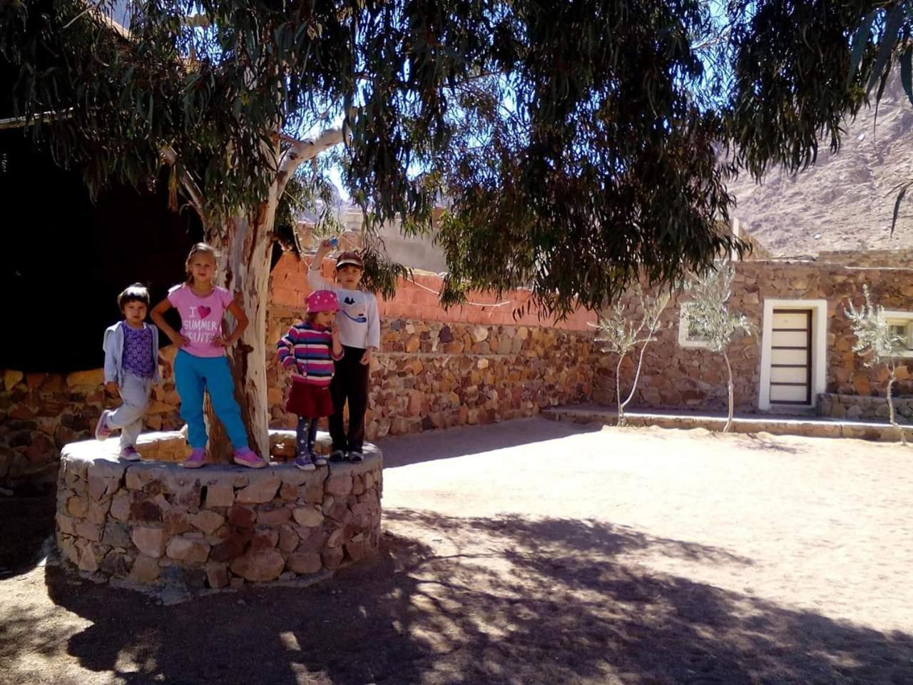 Photo 47