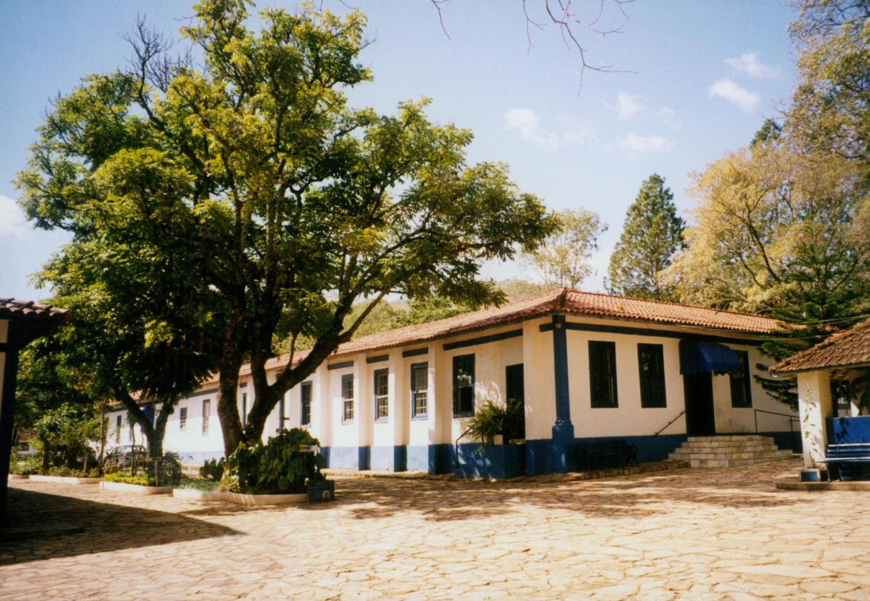 Photo 43