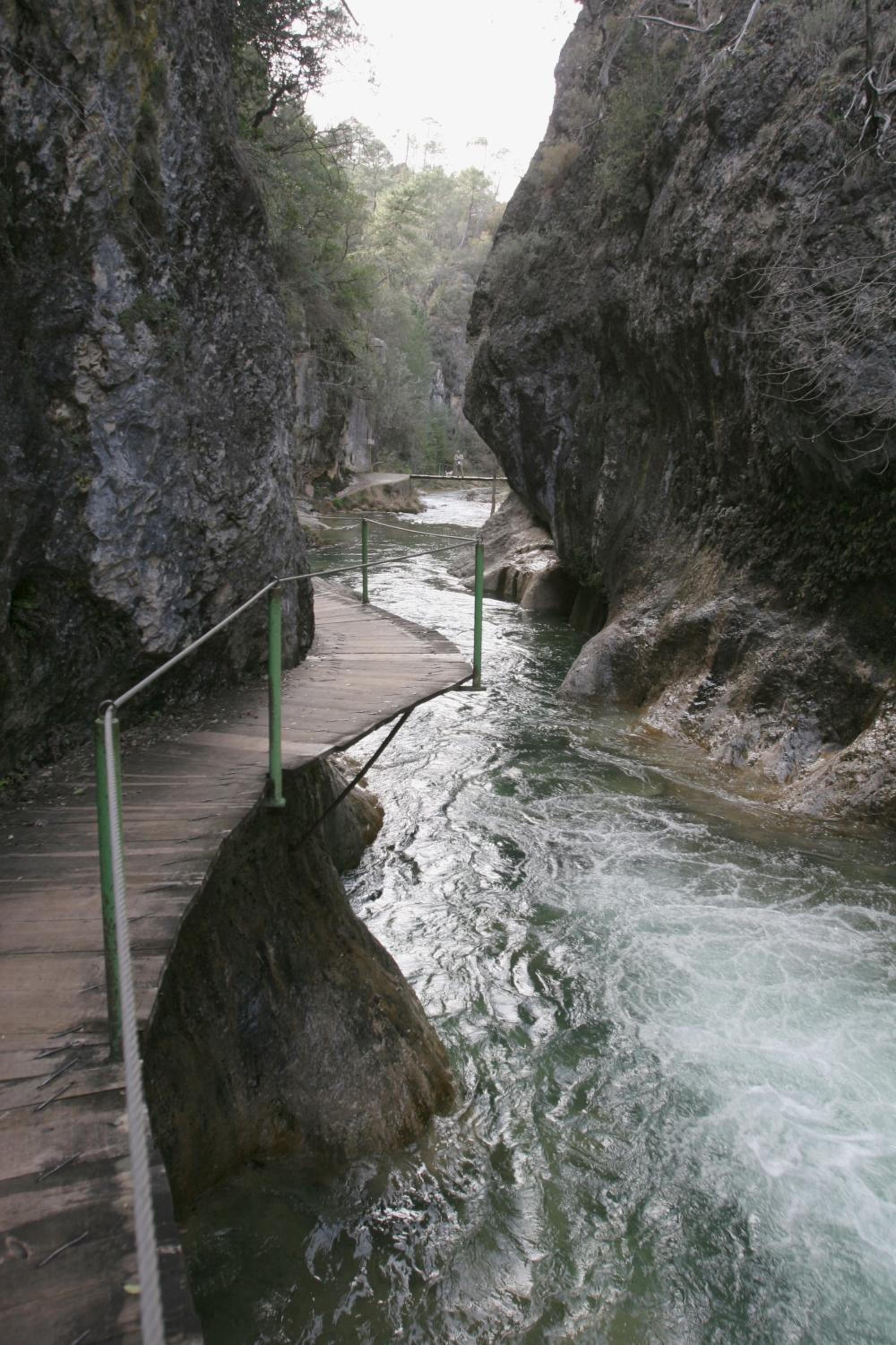 Photo 47