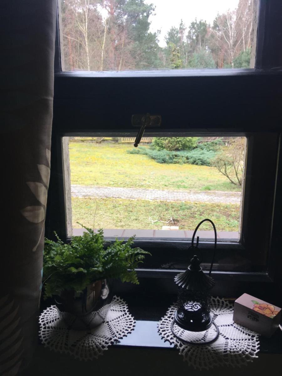 Photo 47