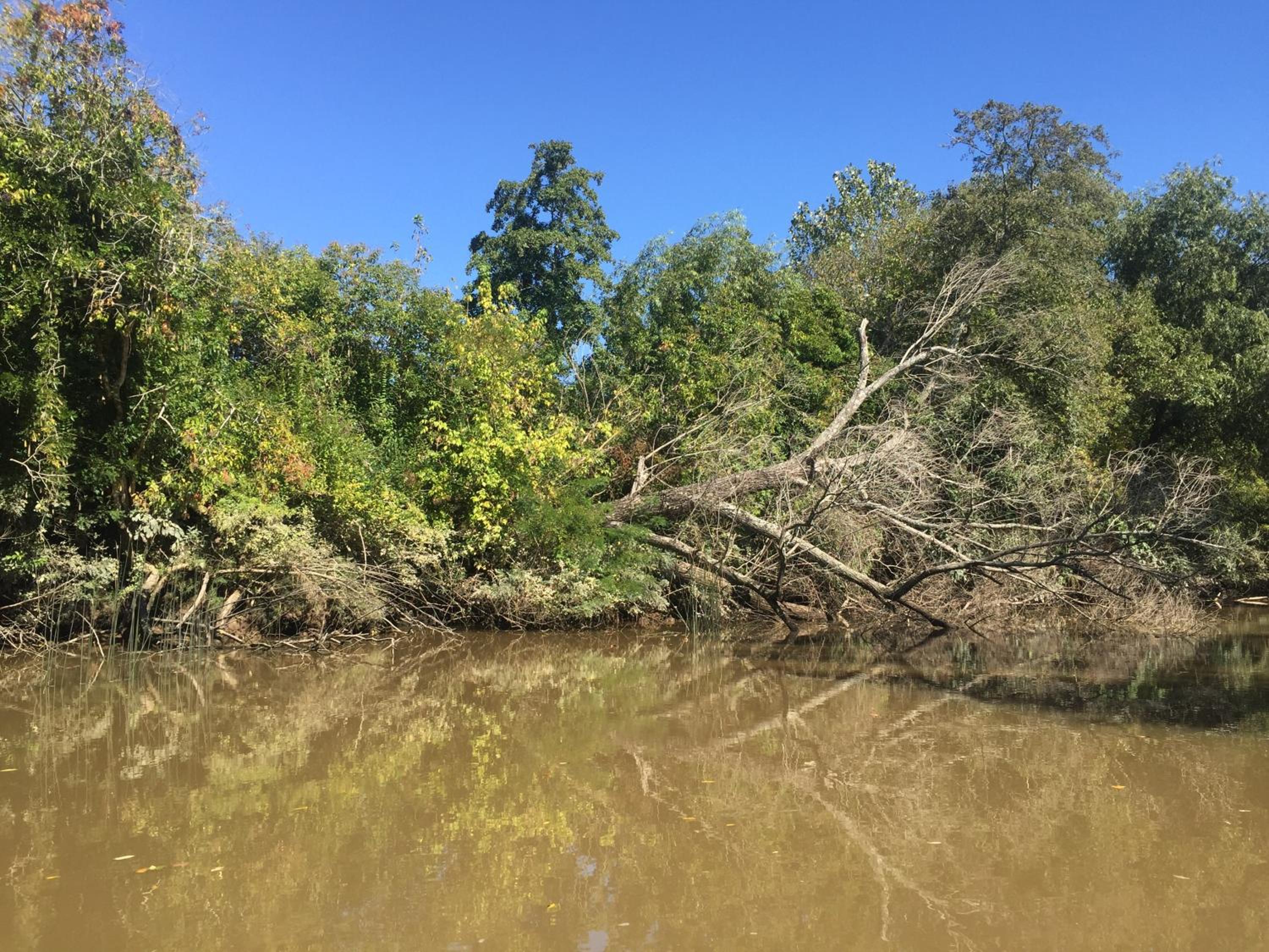 Cabaña en el Delta Arroyo Pajarito a 20 minutos de navegación