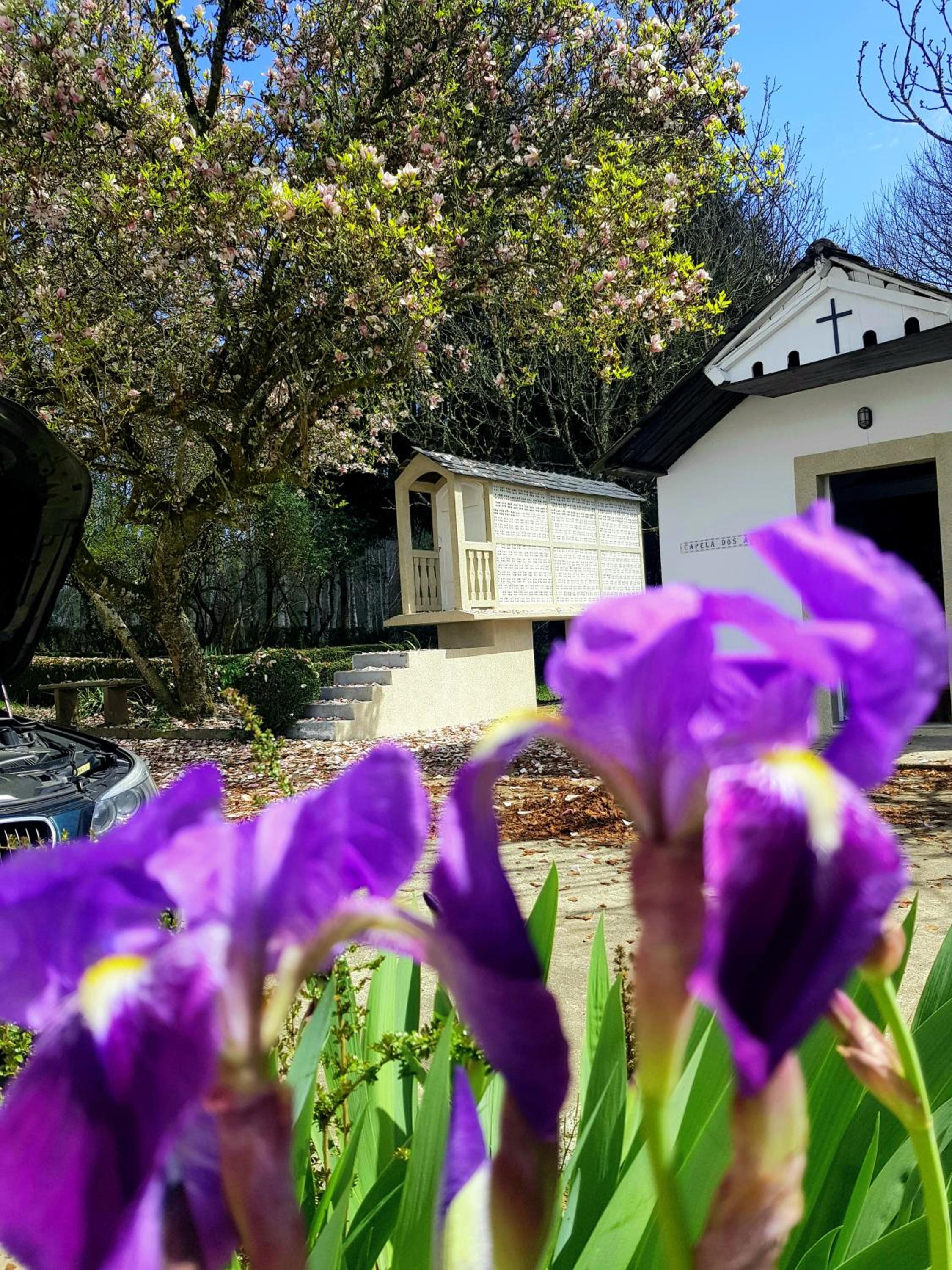 casa pizarra