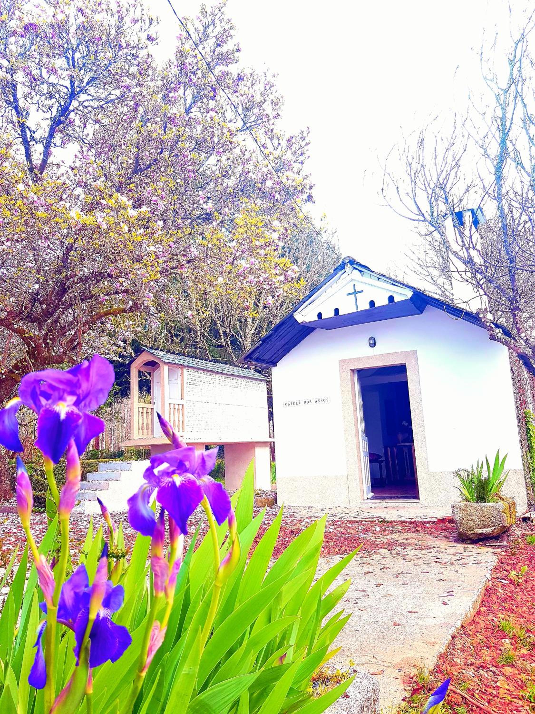 casa pizarra