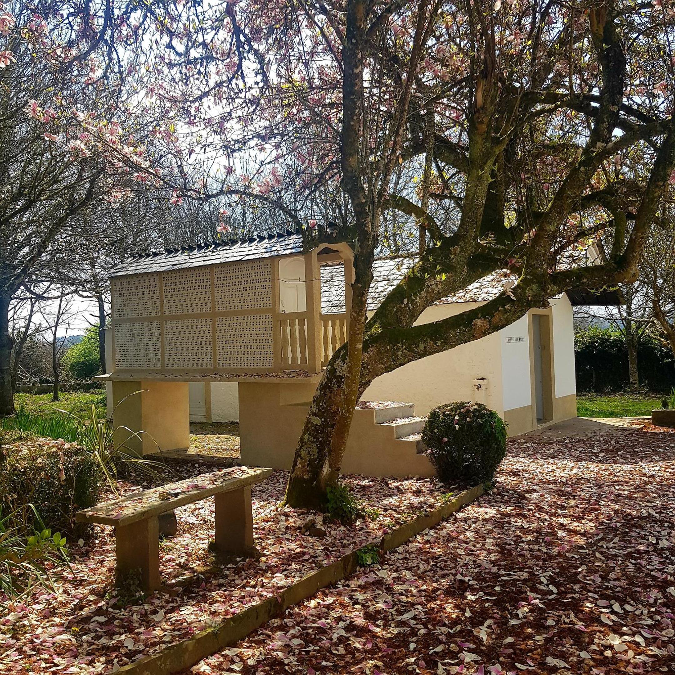 casa pizarra