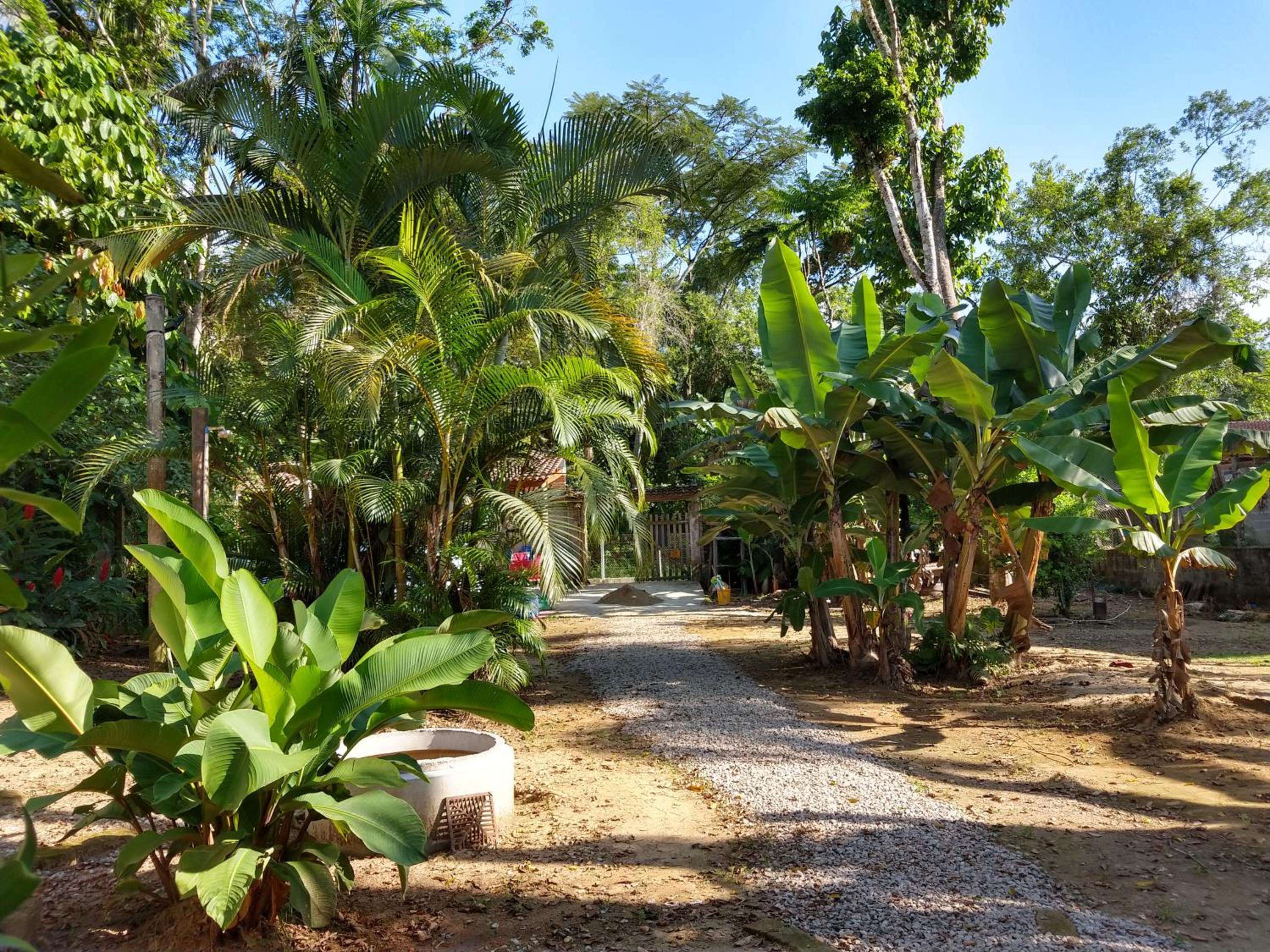 Suites Coqueiros Itamambuca view 3