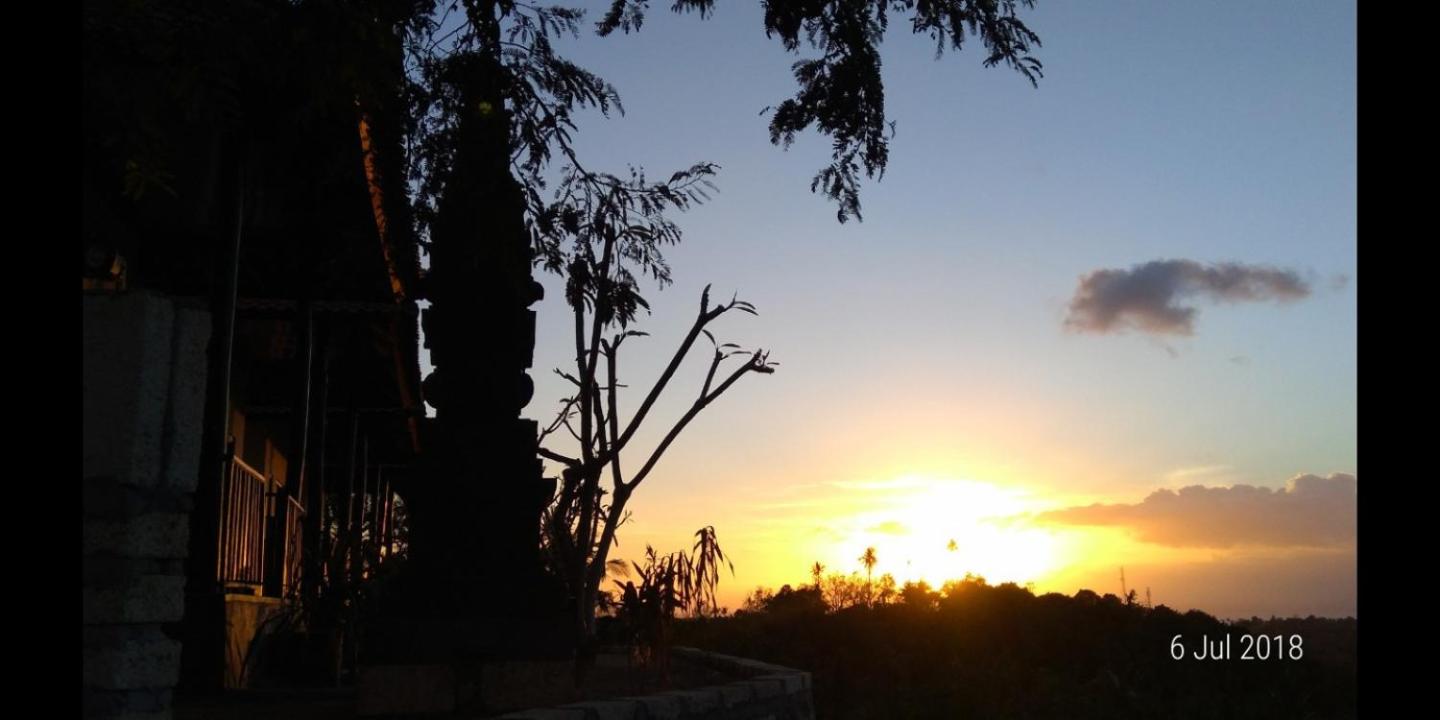 Photo 22