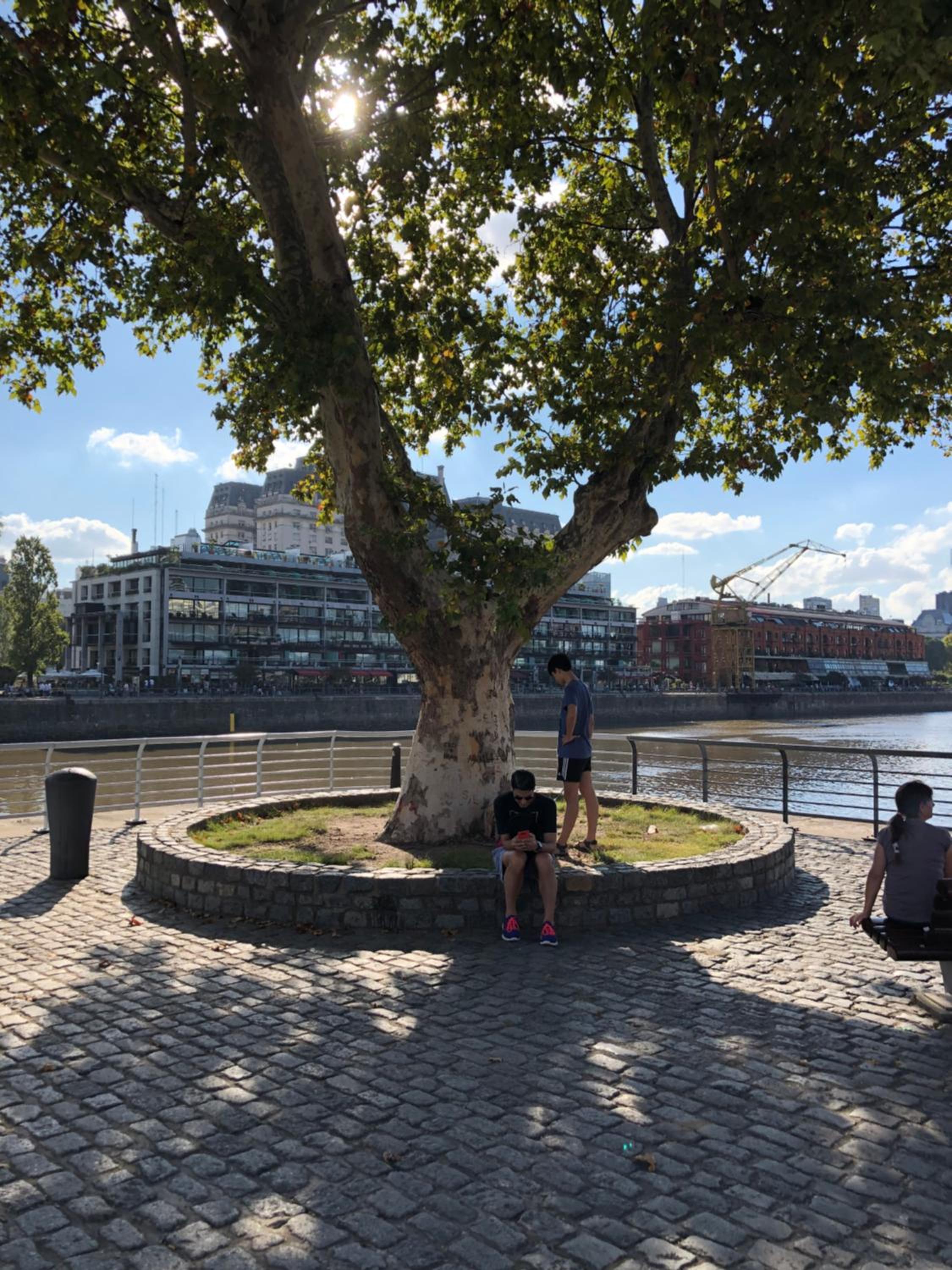 City Madero Buenos Aires