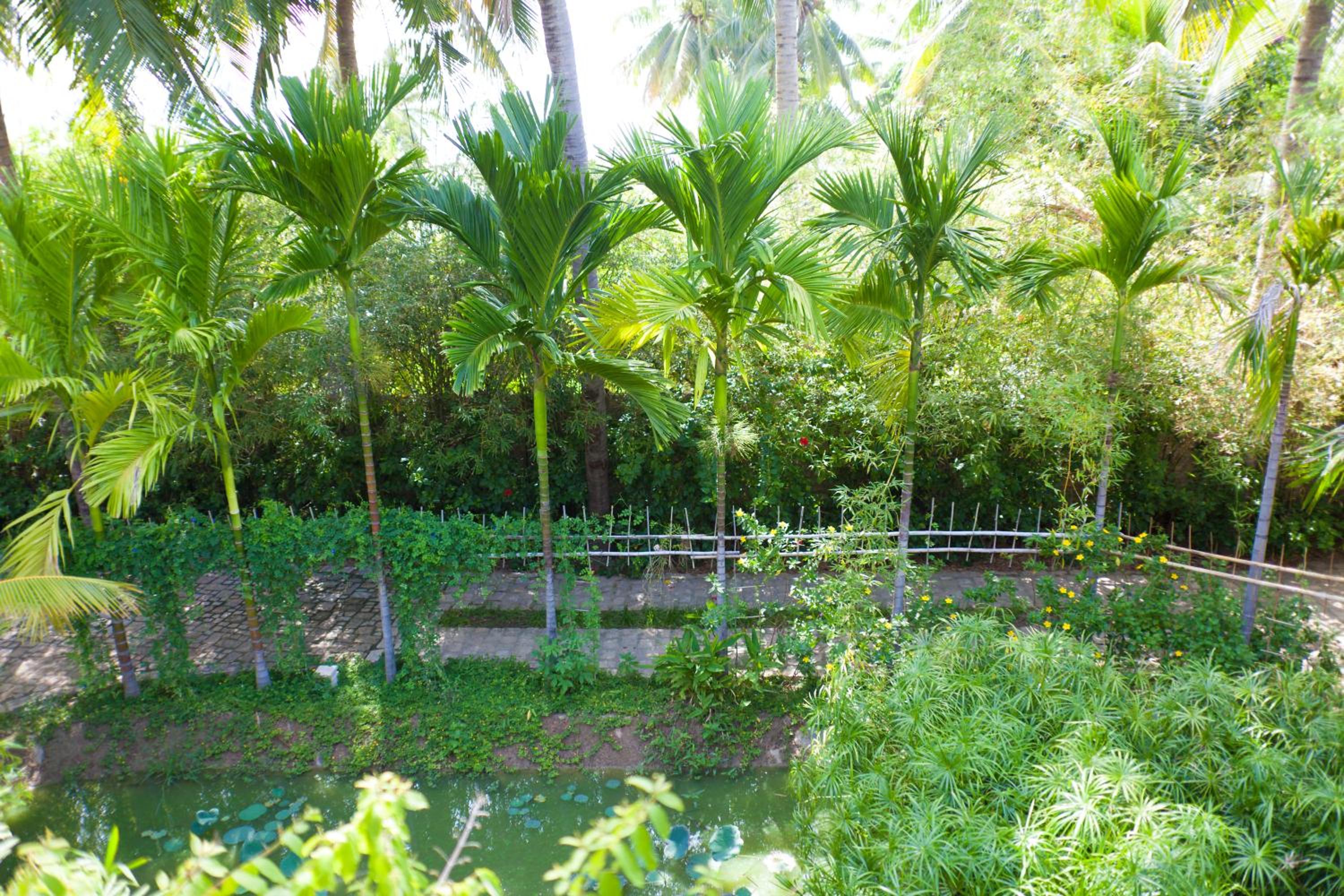 The Trang Villas view 5