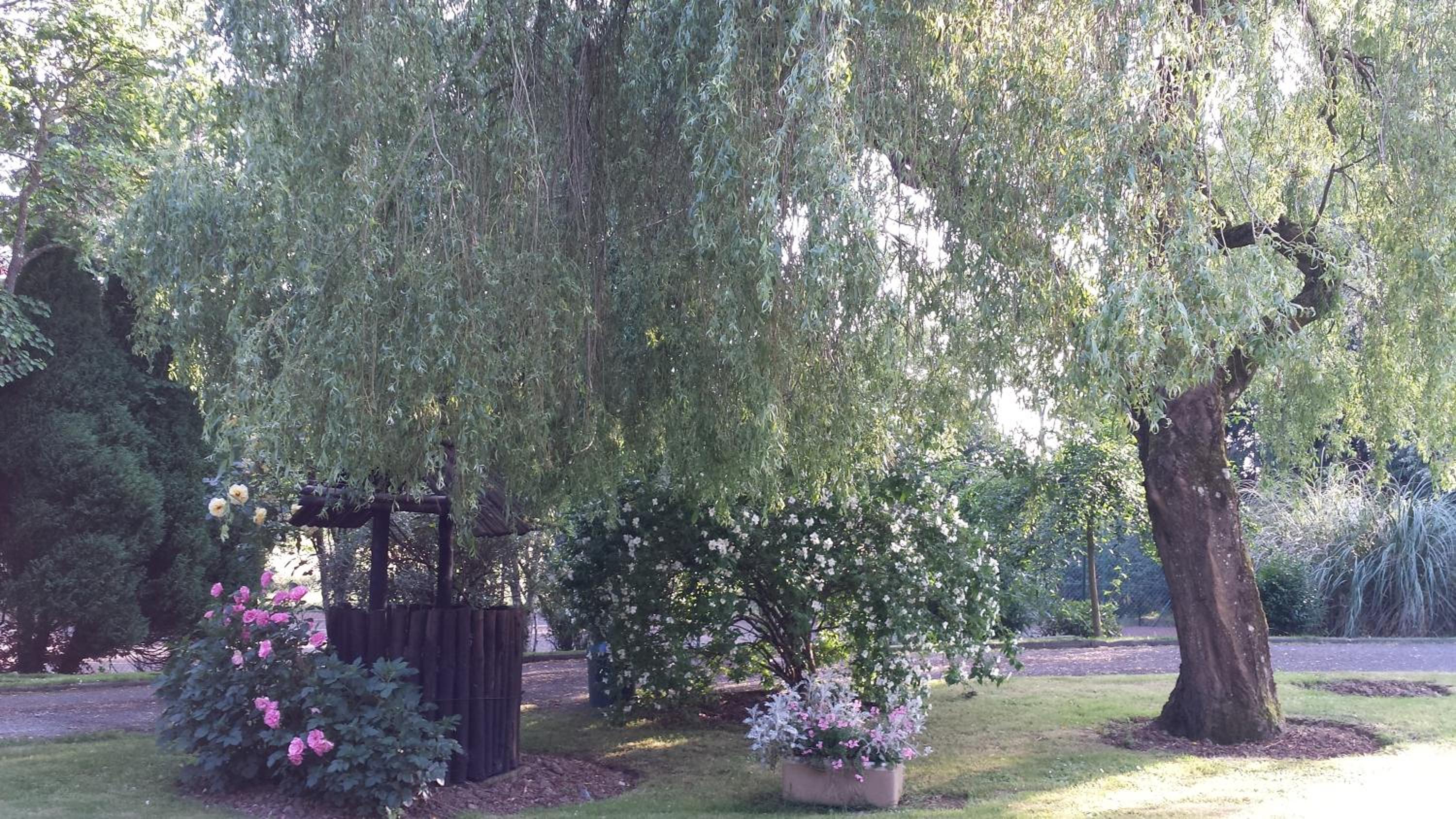 Riverfield Bed and Breakfast en Gorey