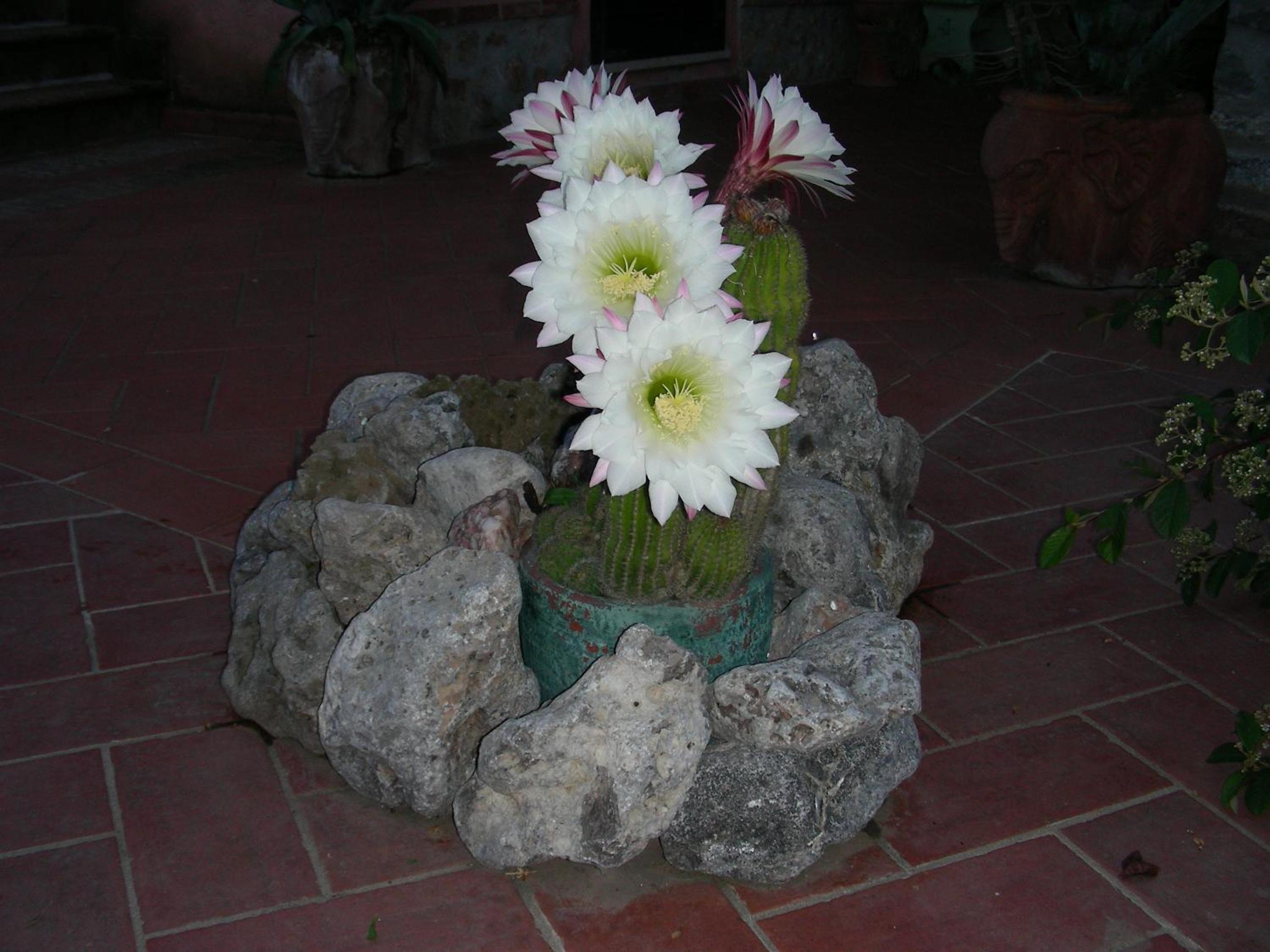 Agriturismo Da Paola