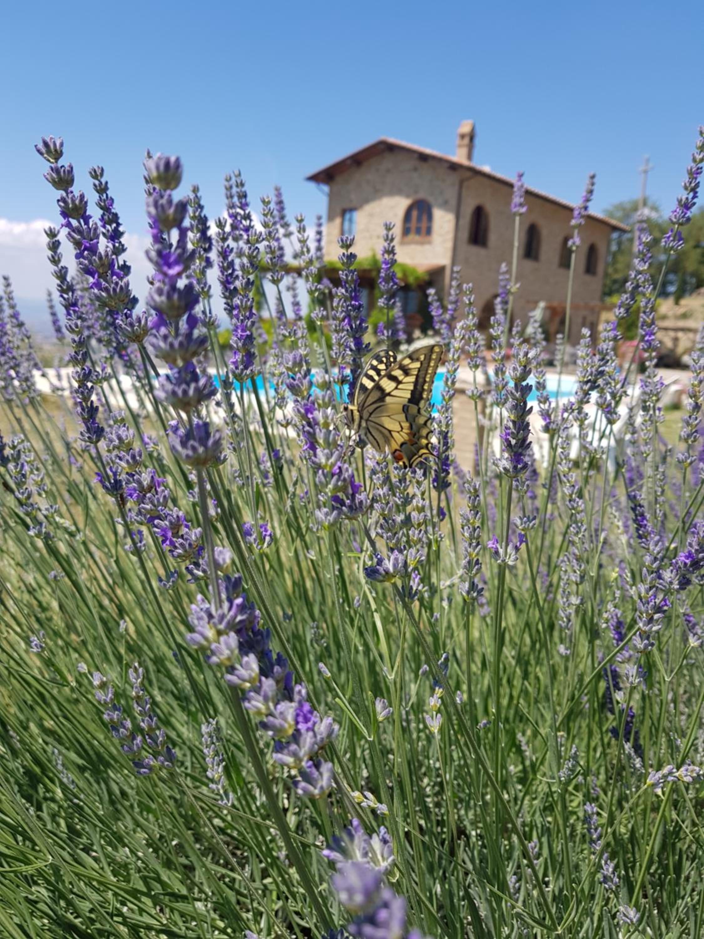 Villa Bella Costa