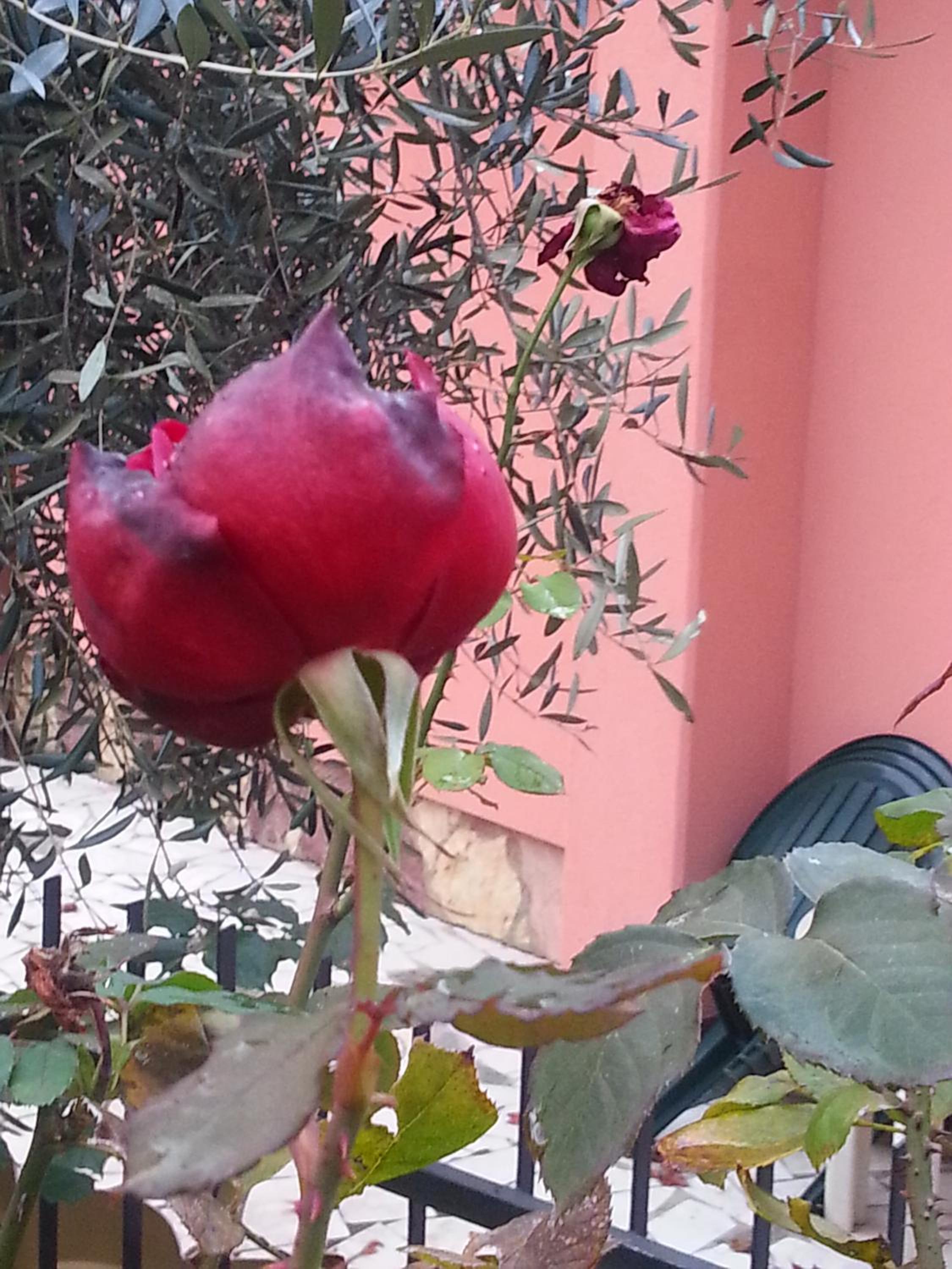 Photo 23